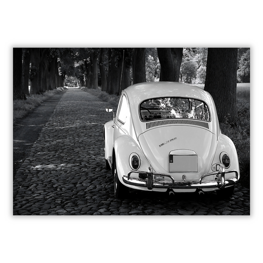 A Country Lane Wall Art Canvas Print