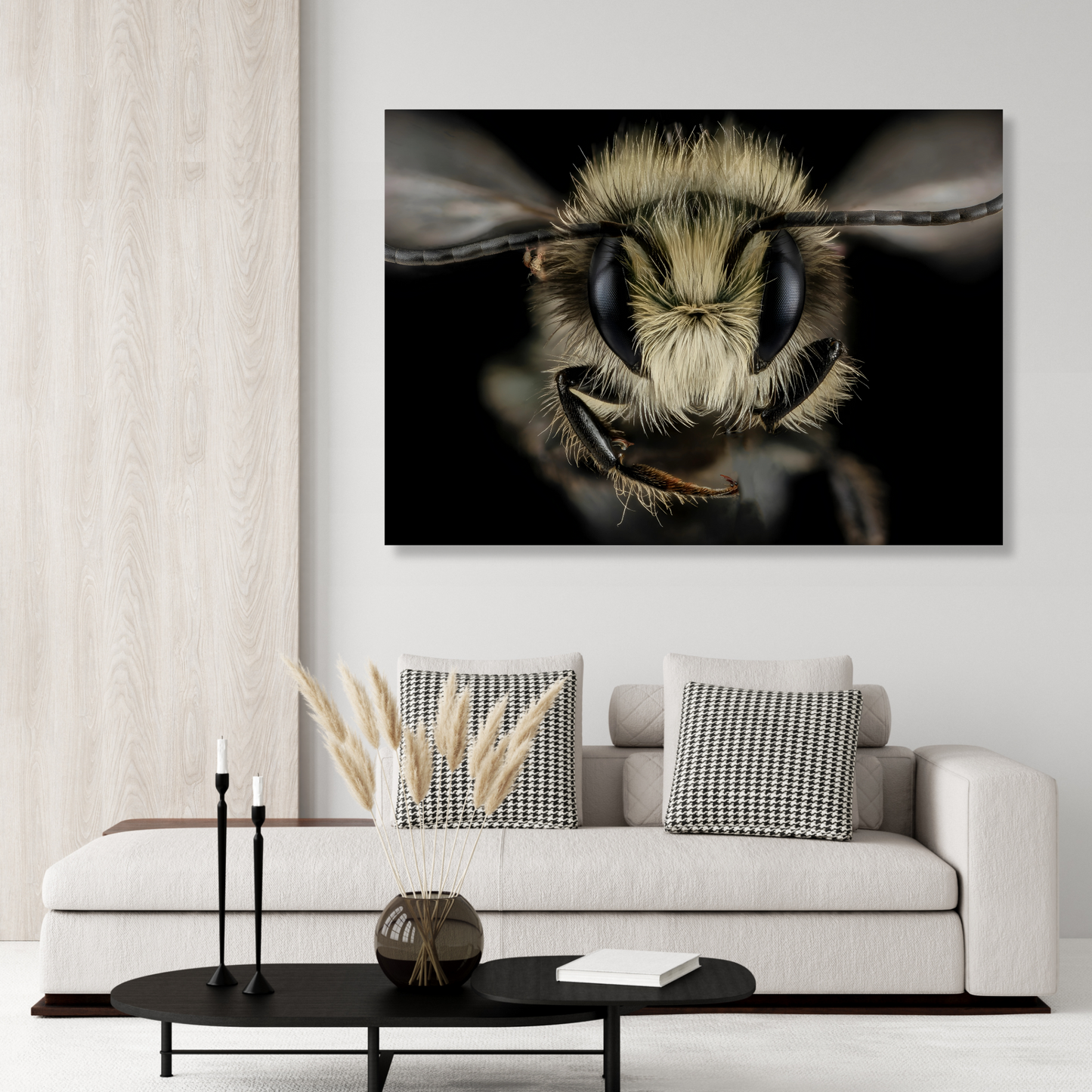 A Wasp's Stare
