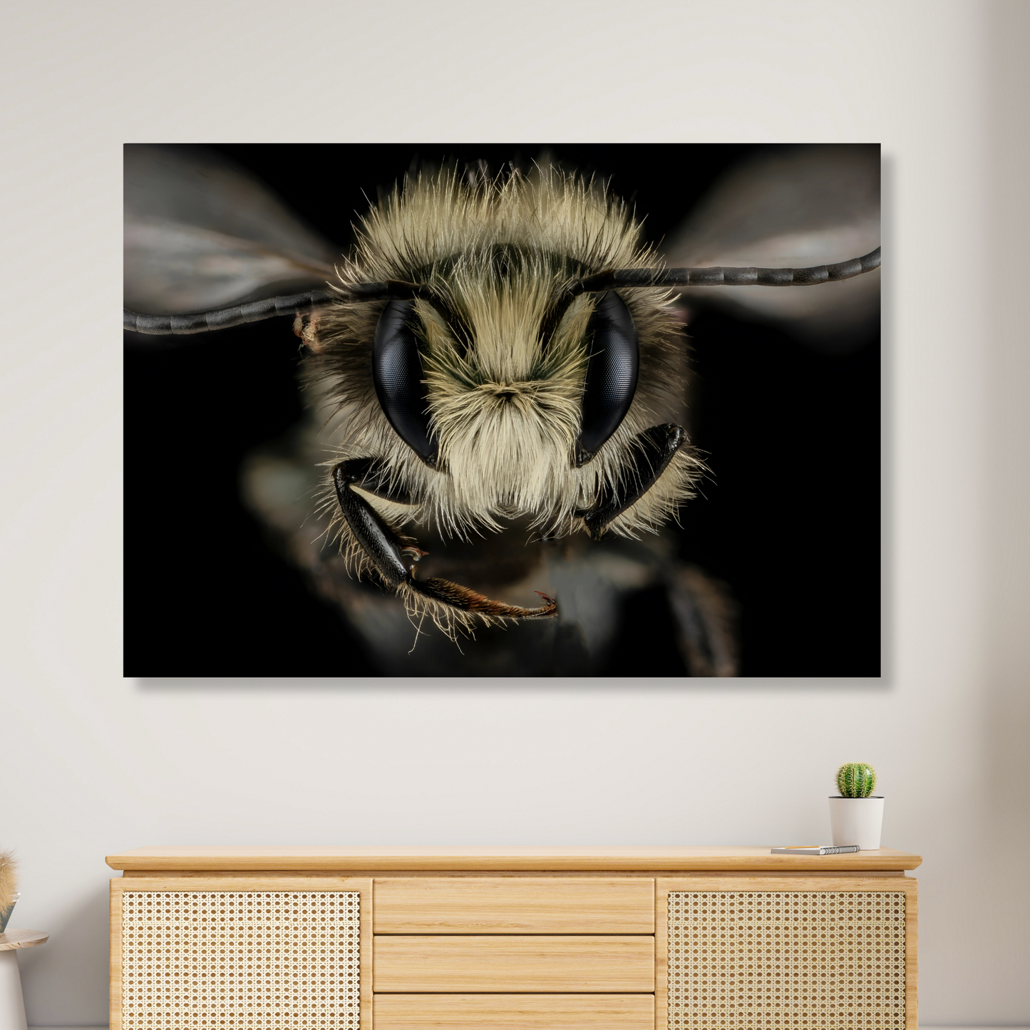 A Wasp's Stare