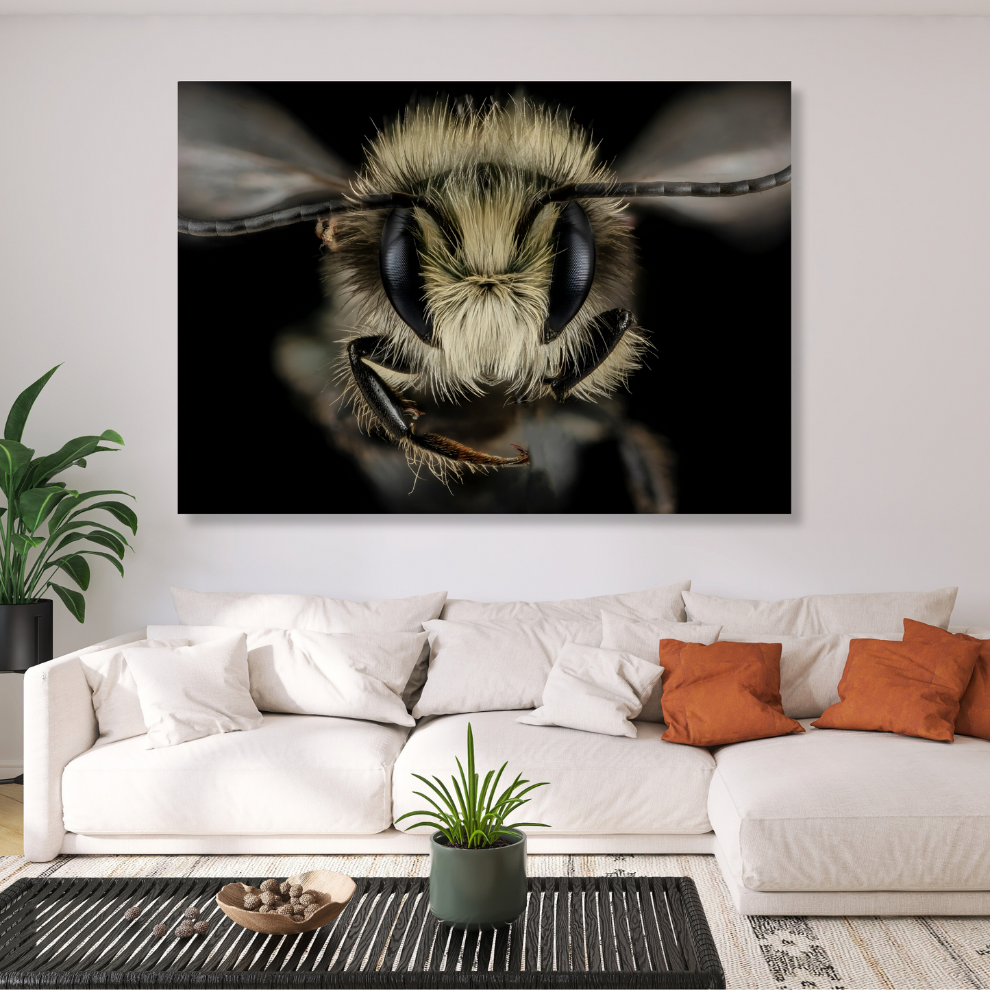 A Wasp's Stare