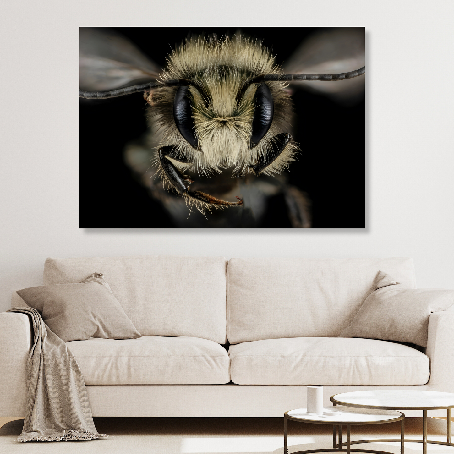 A Wasp's Stare