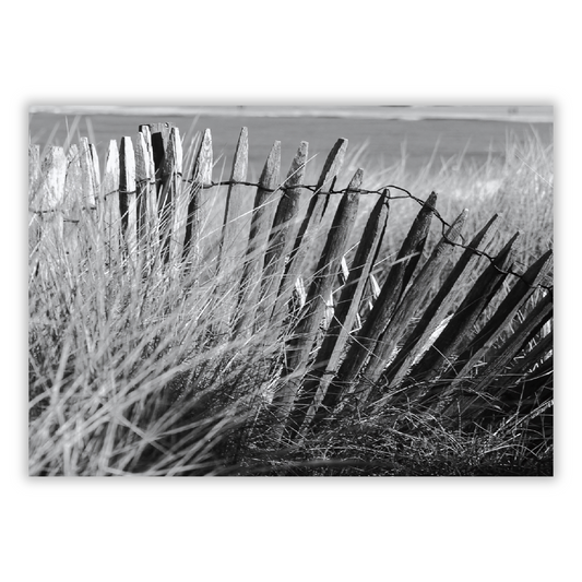 Beach Fence Wall Art Canvas Print