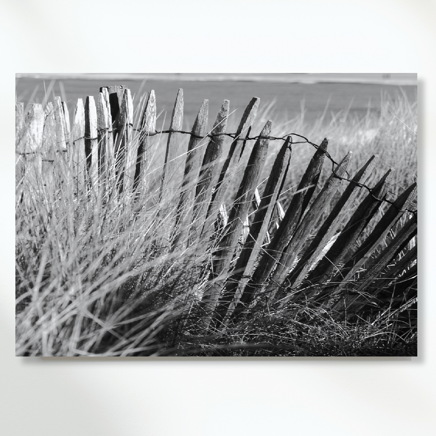 Beach Fence Wall Art Canvas Print