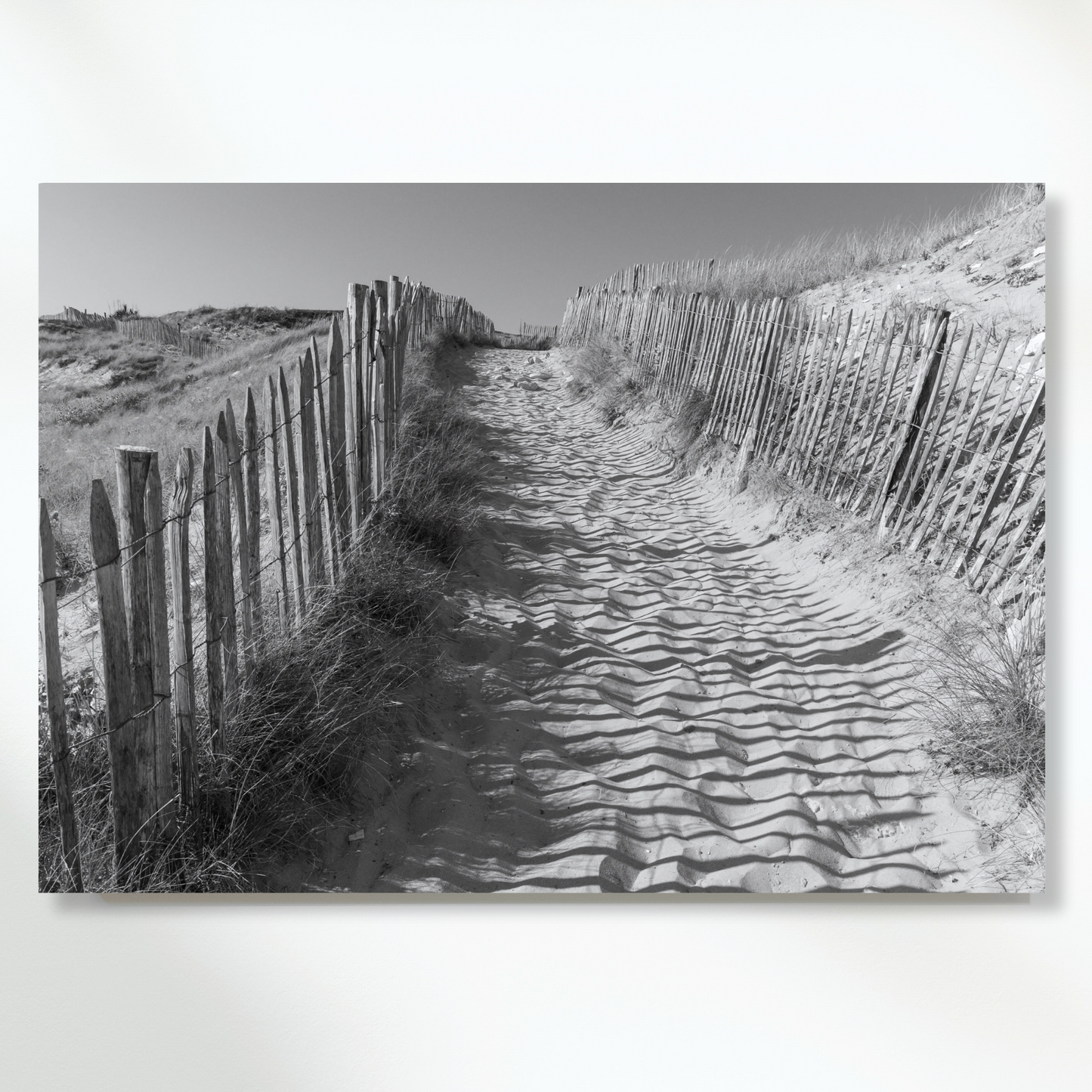 Beach Track Wall Art Canvas Print