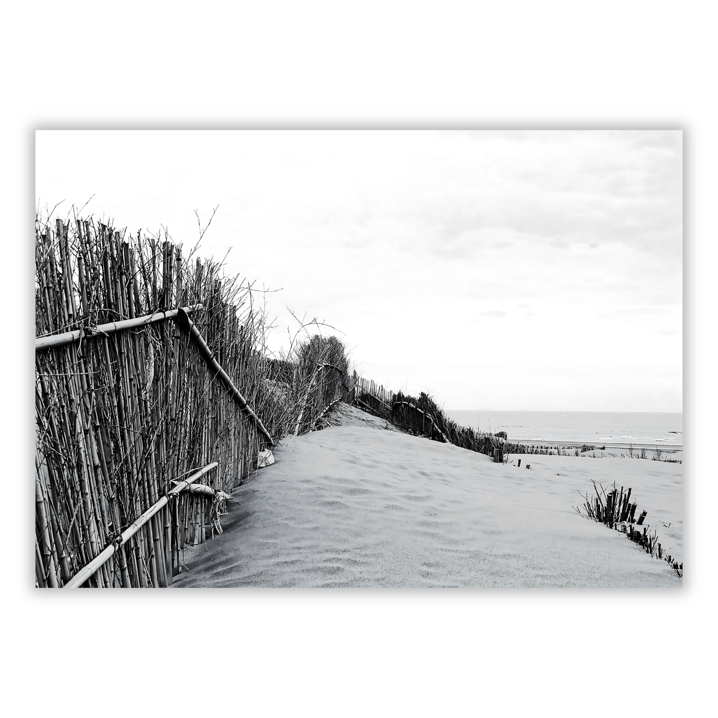 Beach Walk Wall Art Canvas Print