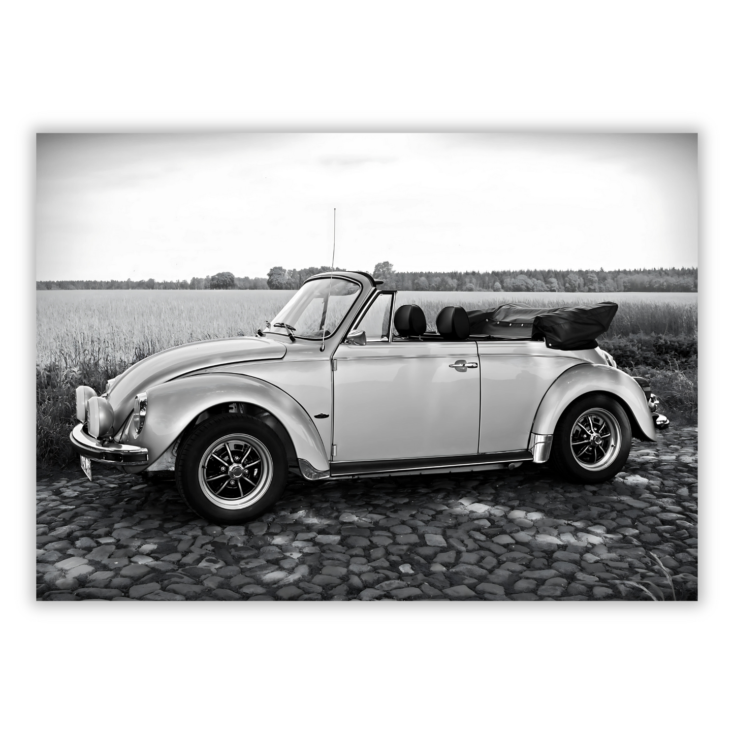 Beetle With The Top Down