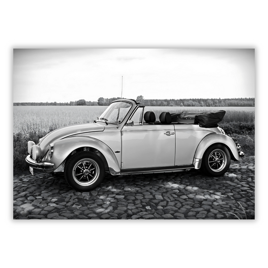 Beetle With The Top Down Wall Art Canvas Print