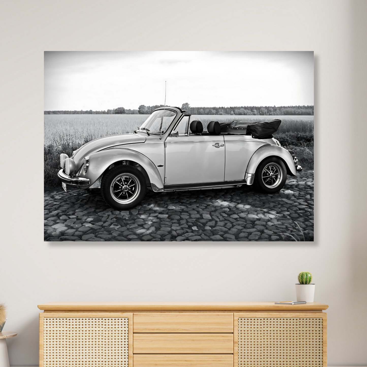 Beetle With The Top Down
