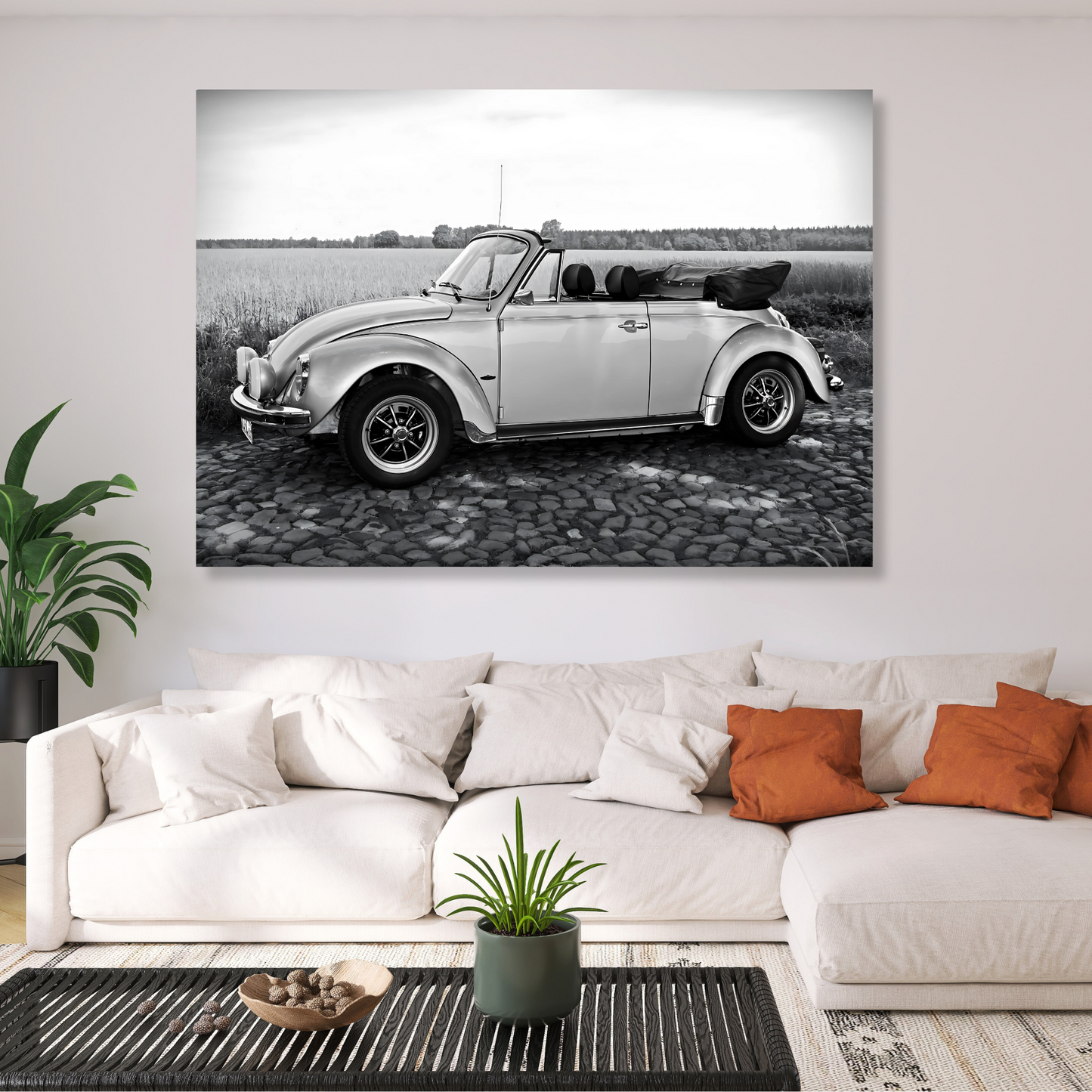 Beetle With The Top Down