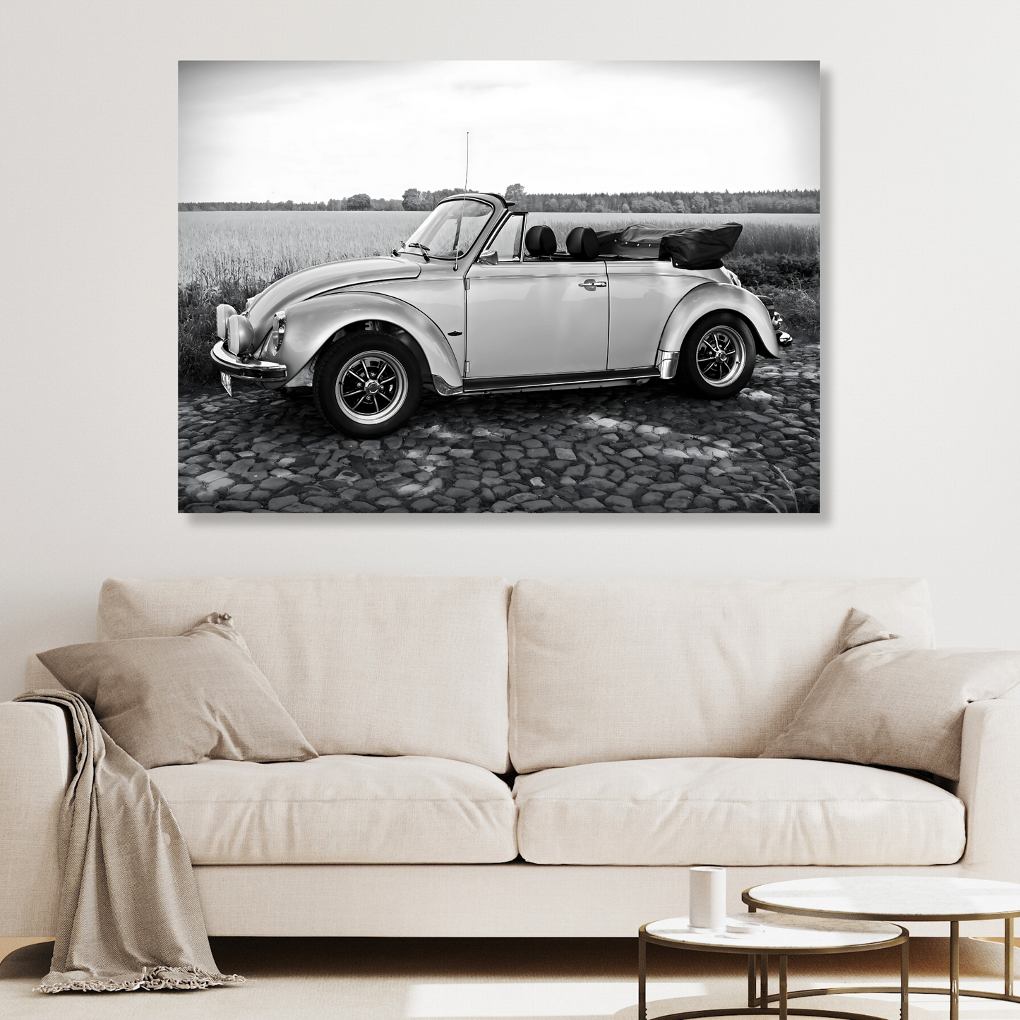 Beetle With The Top Down