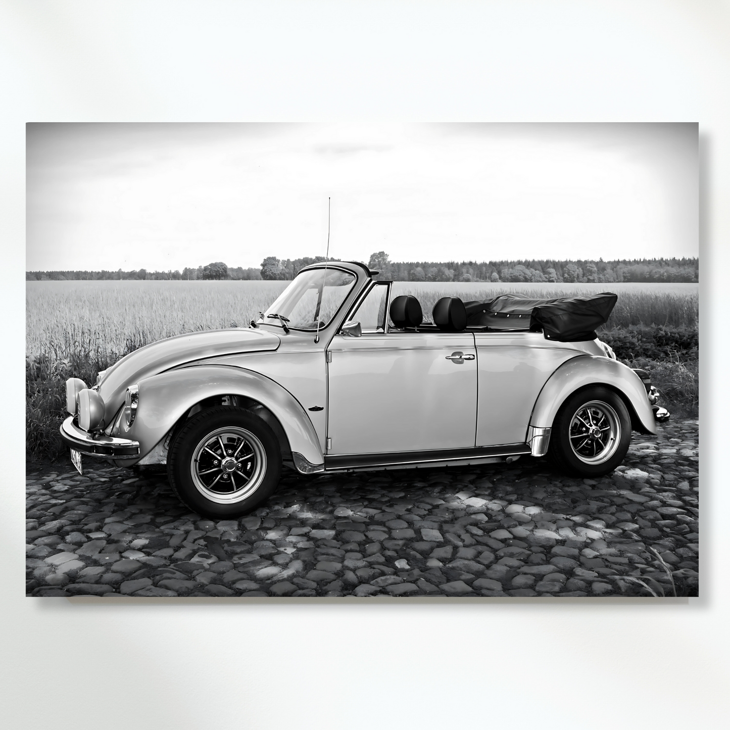 Beetle With The Top Down Wall Art Canvas Print
