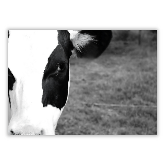 Cow Wall Art Canvas Print