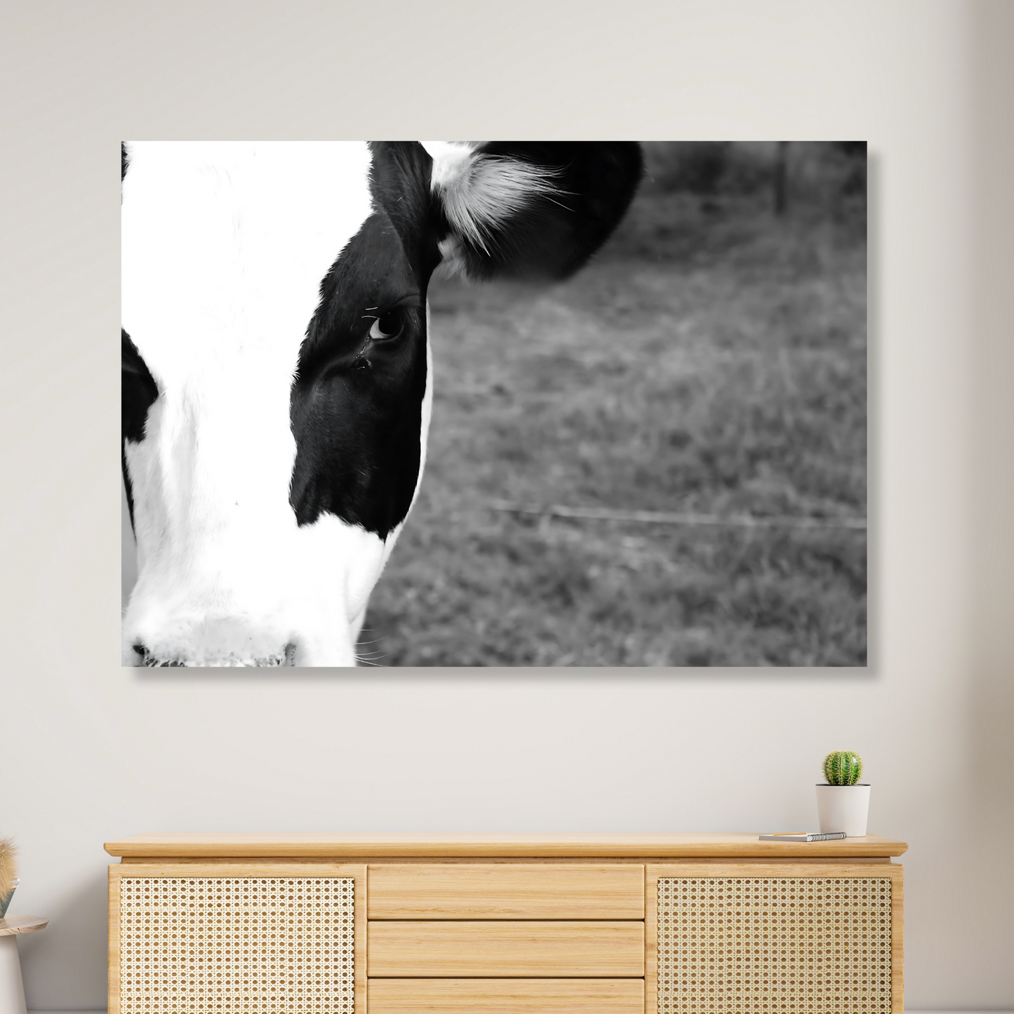 Cow