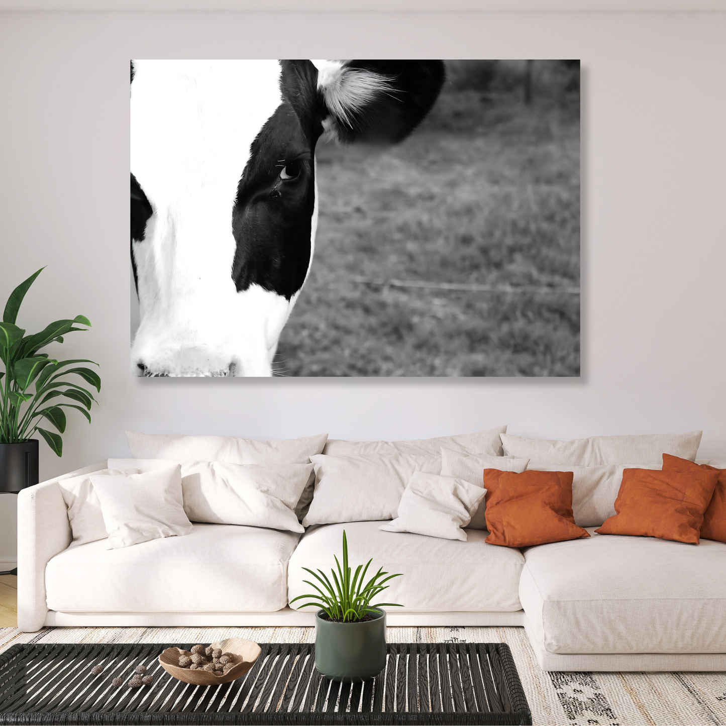 Cow