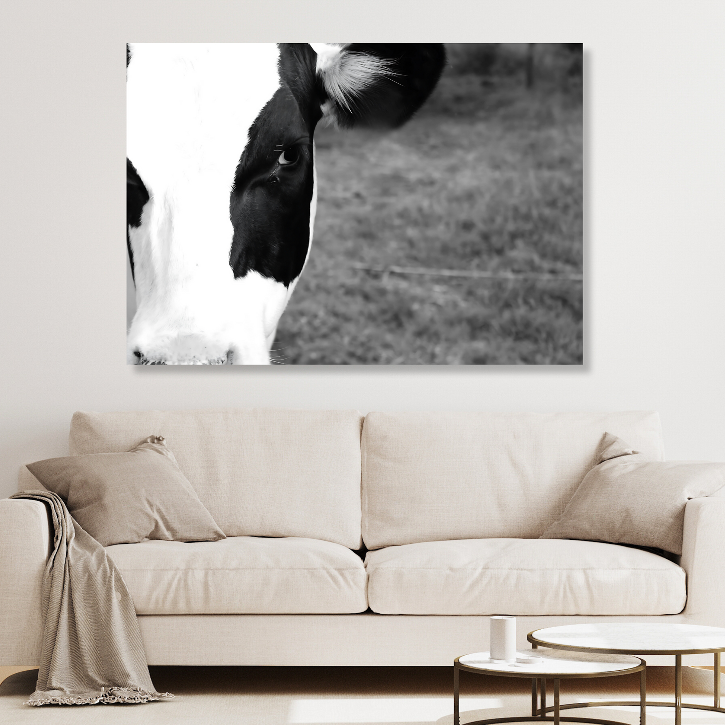 Cow