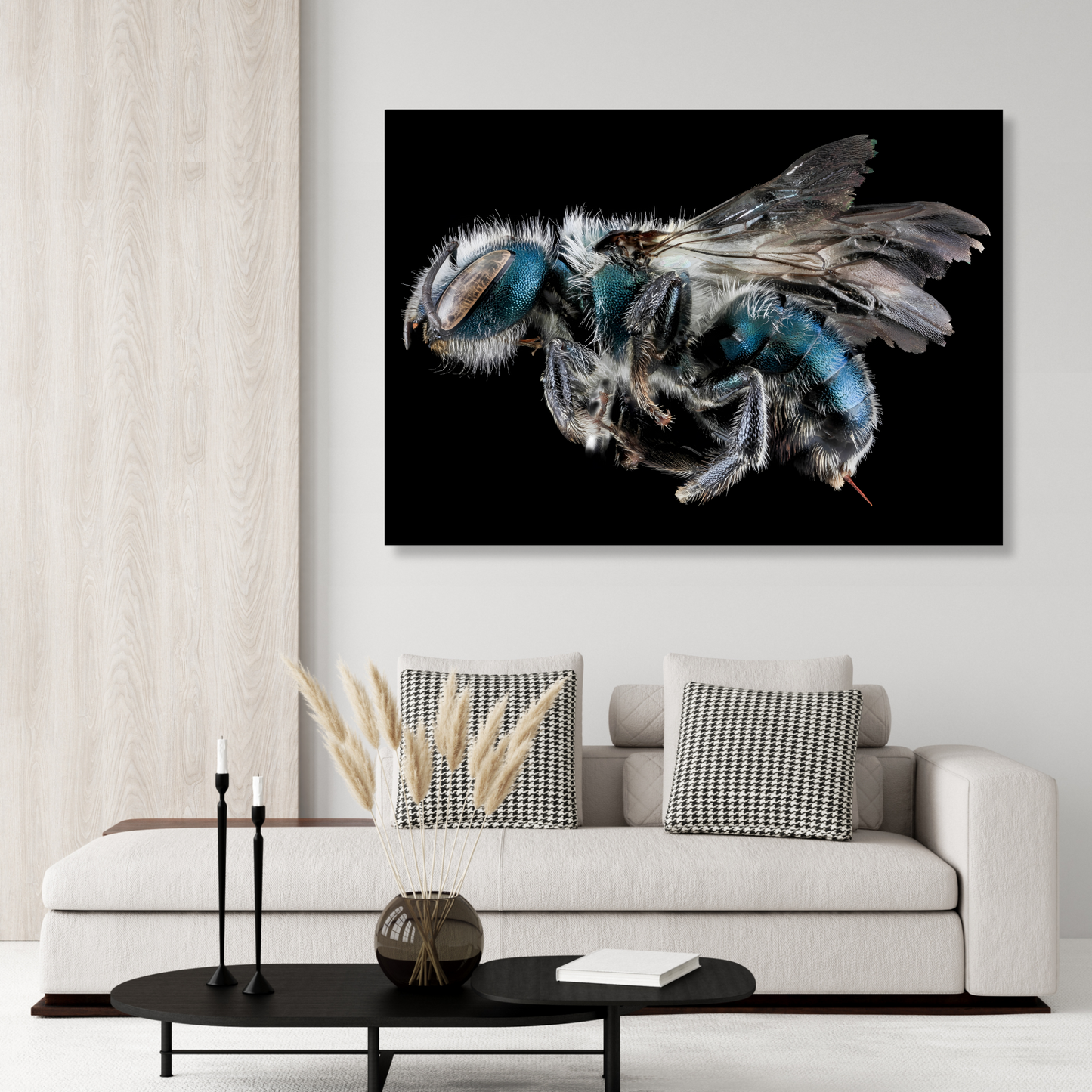 Cuckoo Wasp