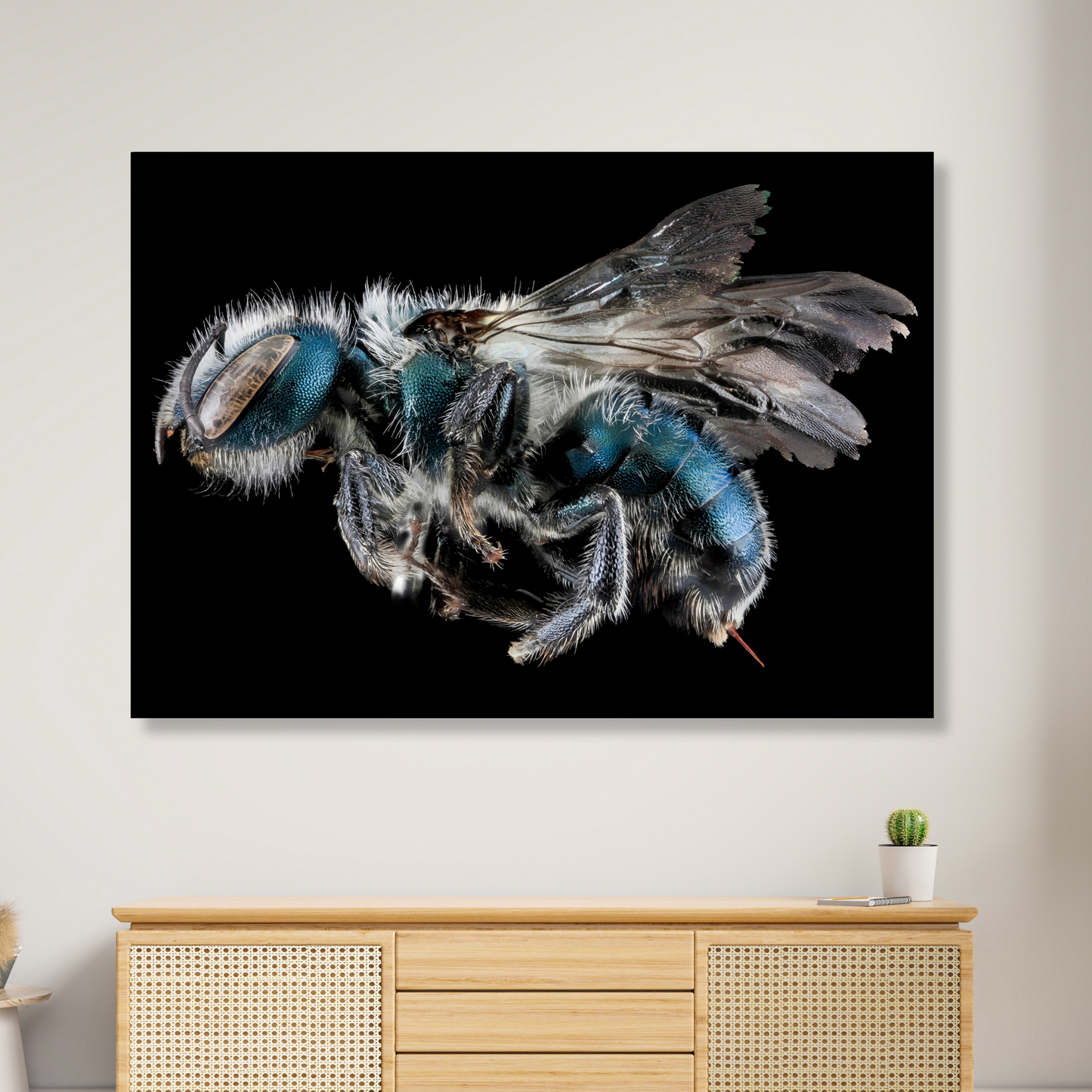 Cuckoo Wasp