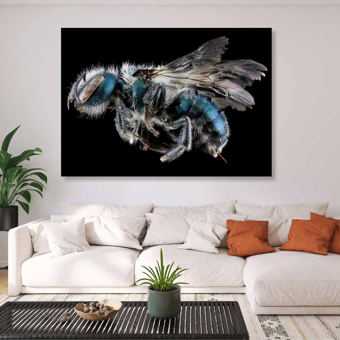 Cuckoo Wasp