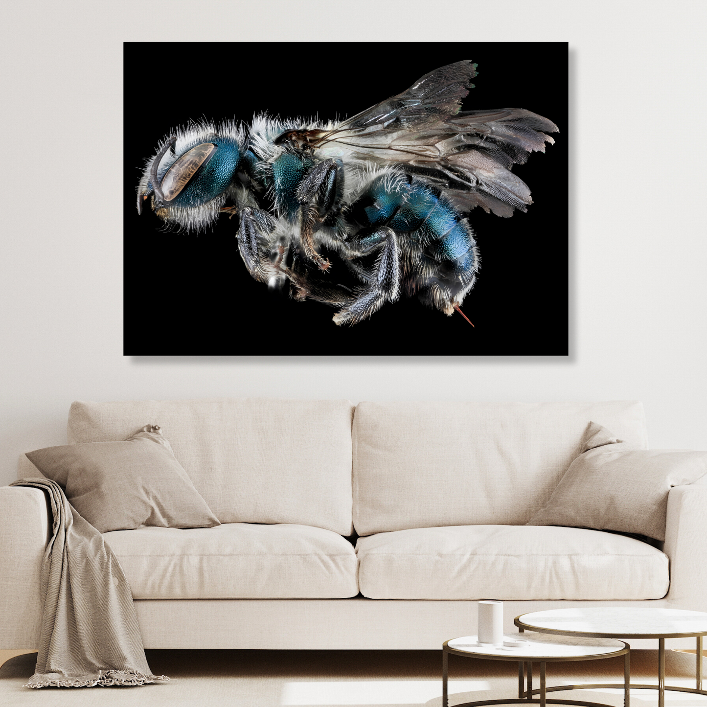 Cuckoo Wasp