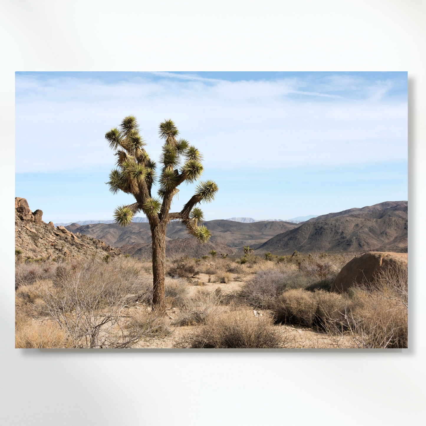 A Desert Sky Wall Art Canvas Print