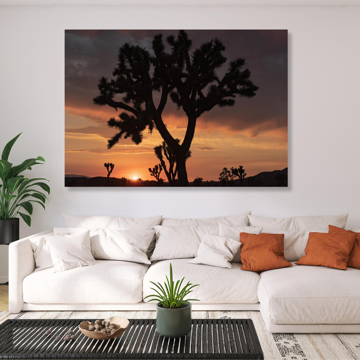 A Desert Sunset