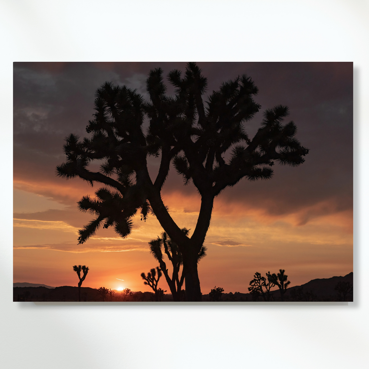 A Desert Sunset Wall Art Canvas Print