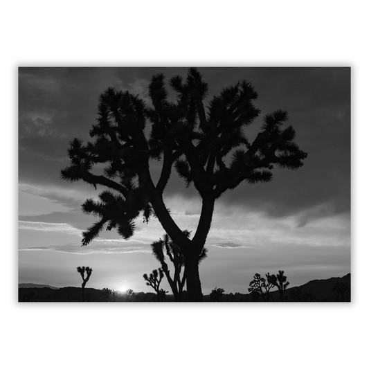 A Desert Sunset (Black & White) Wall Art Canvas Print