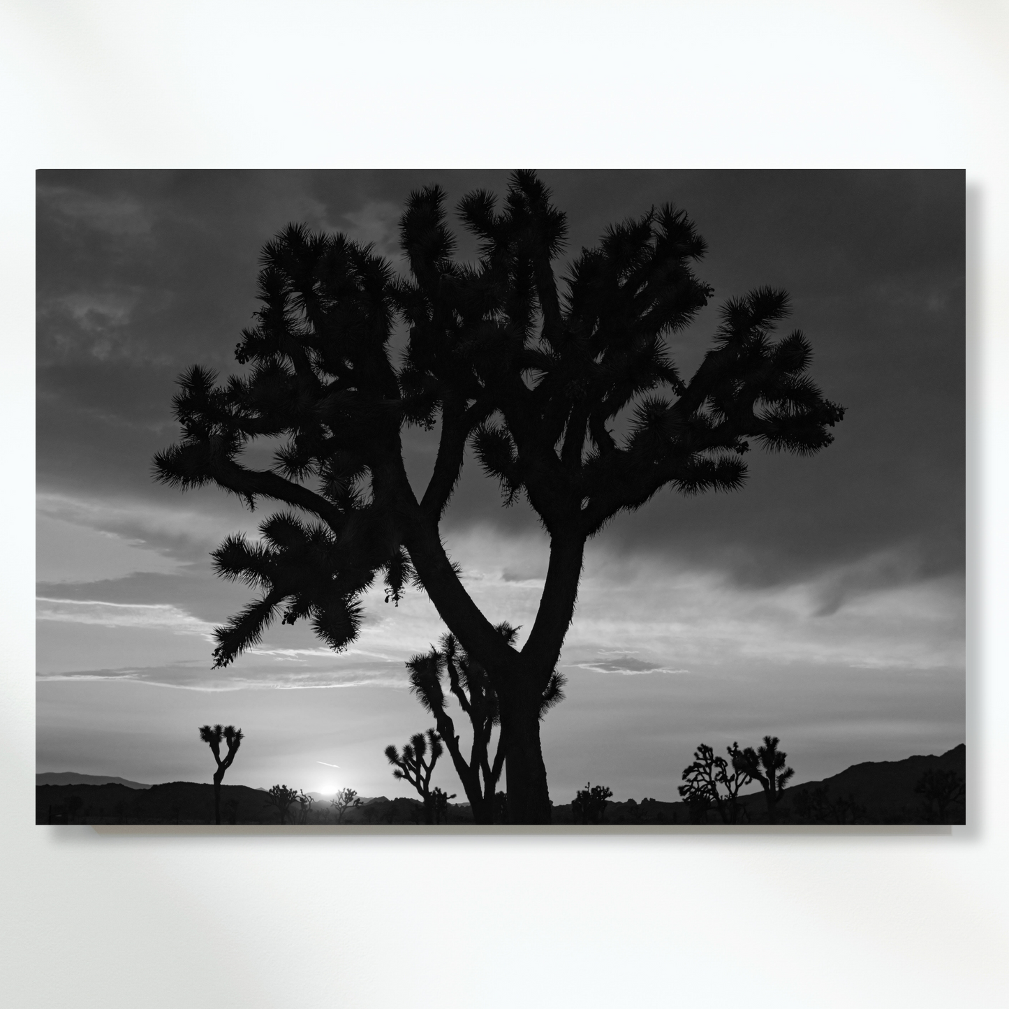 A Desert Sunset (Black & White) Wall Art Canvas Print
