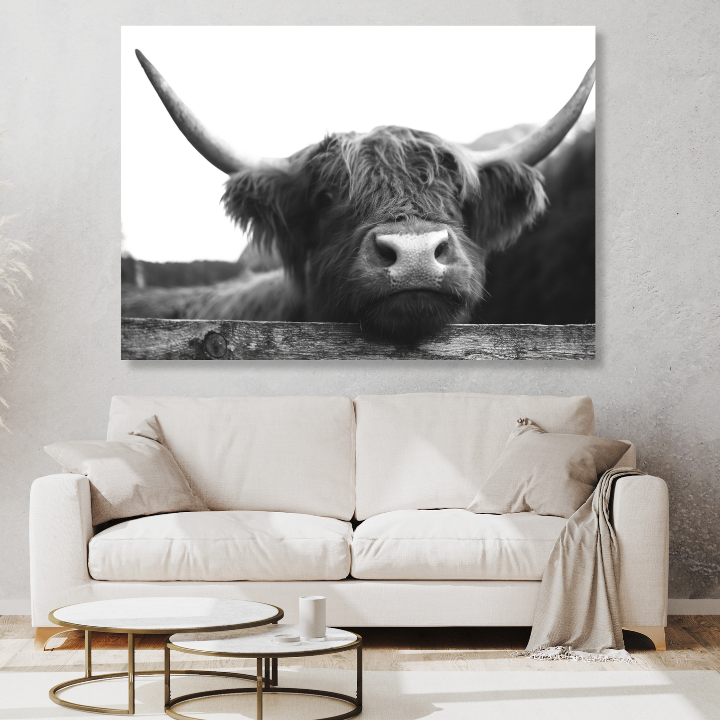 Highland Cow Peaking Wall Art Canvas Print