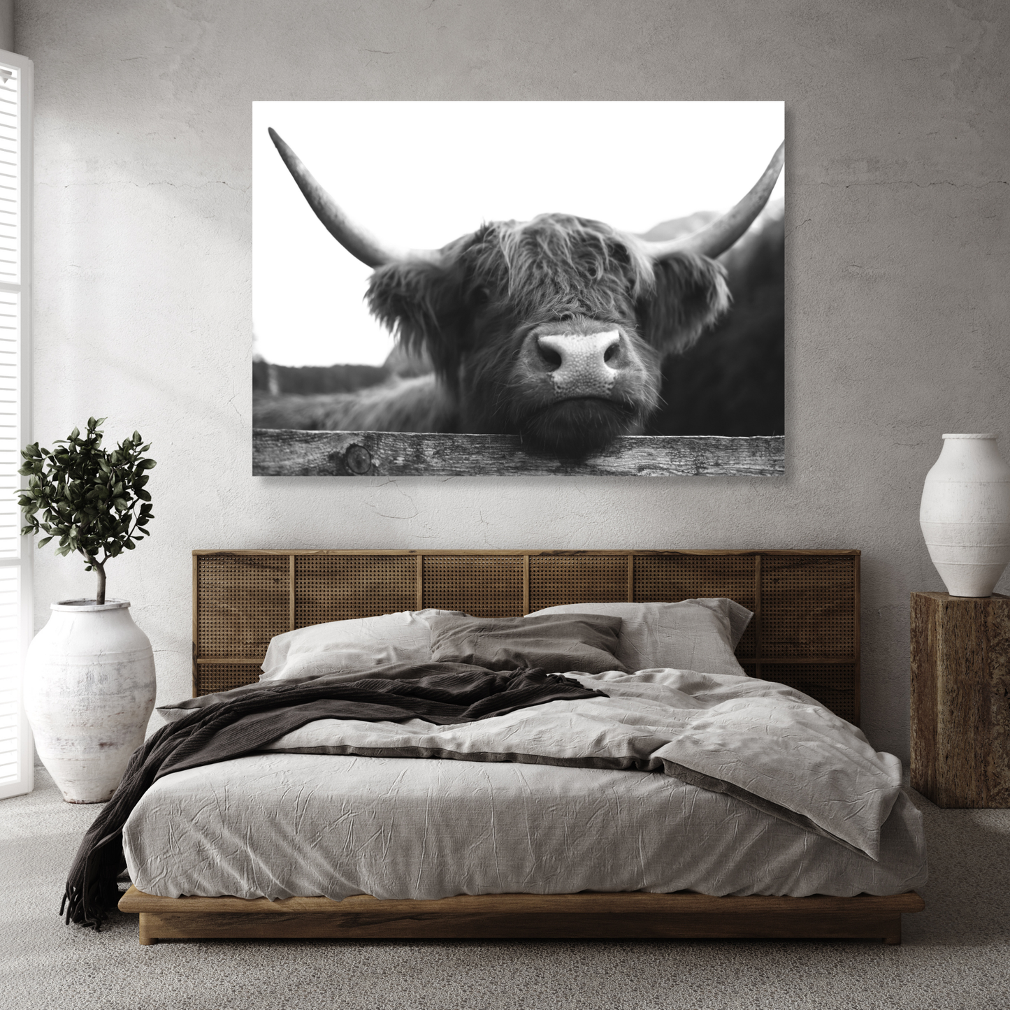 Highland Cow Peaking Wall Art Canvas Print
