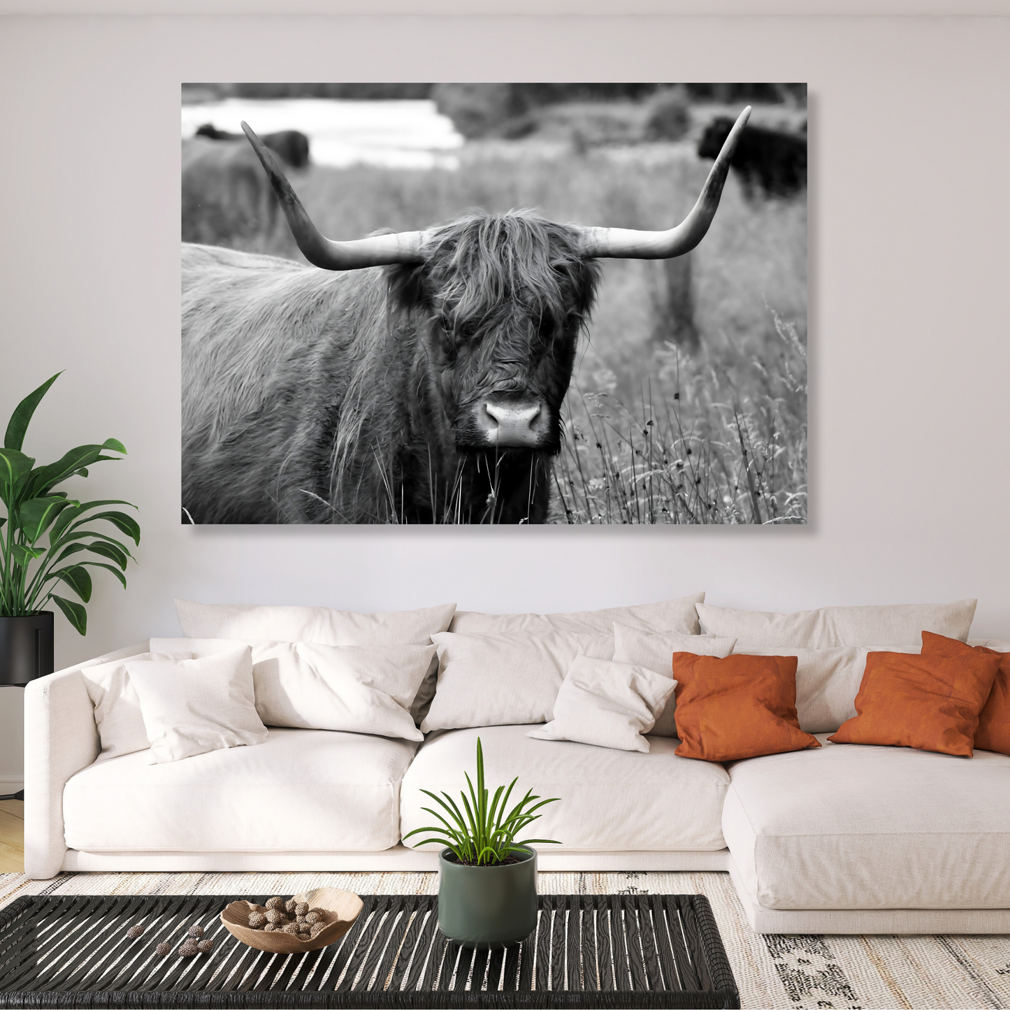 Highland Cow Horns