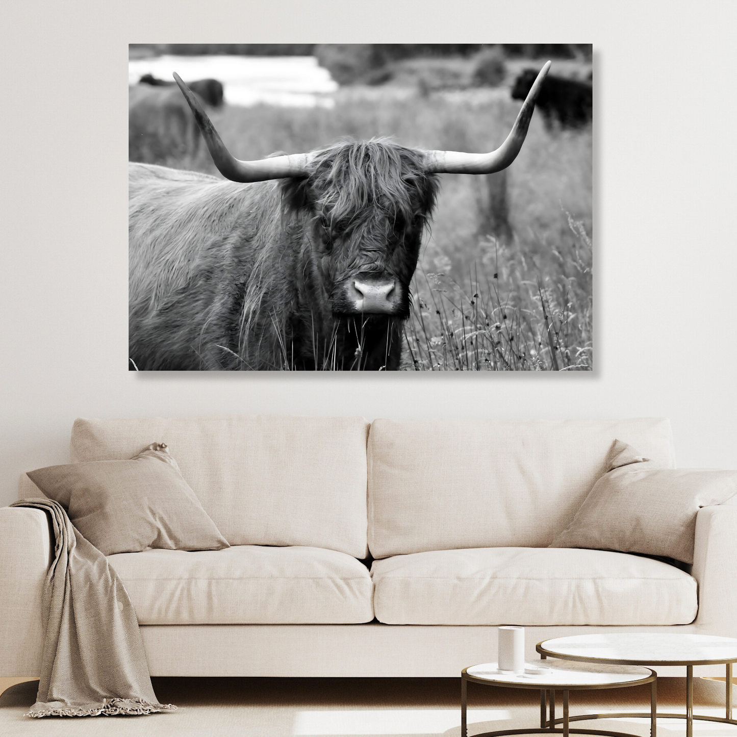 Highland Cow Horns