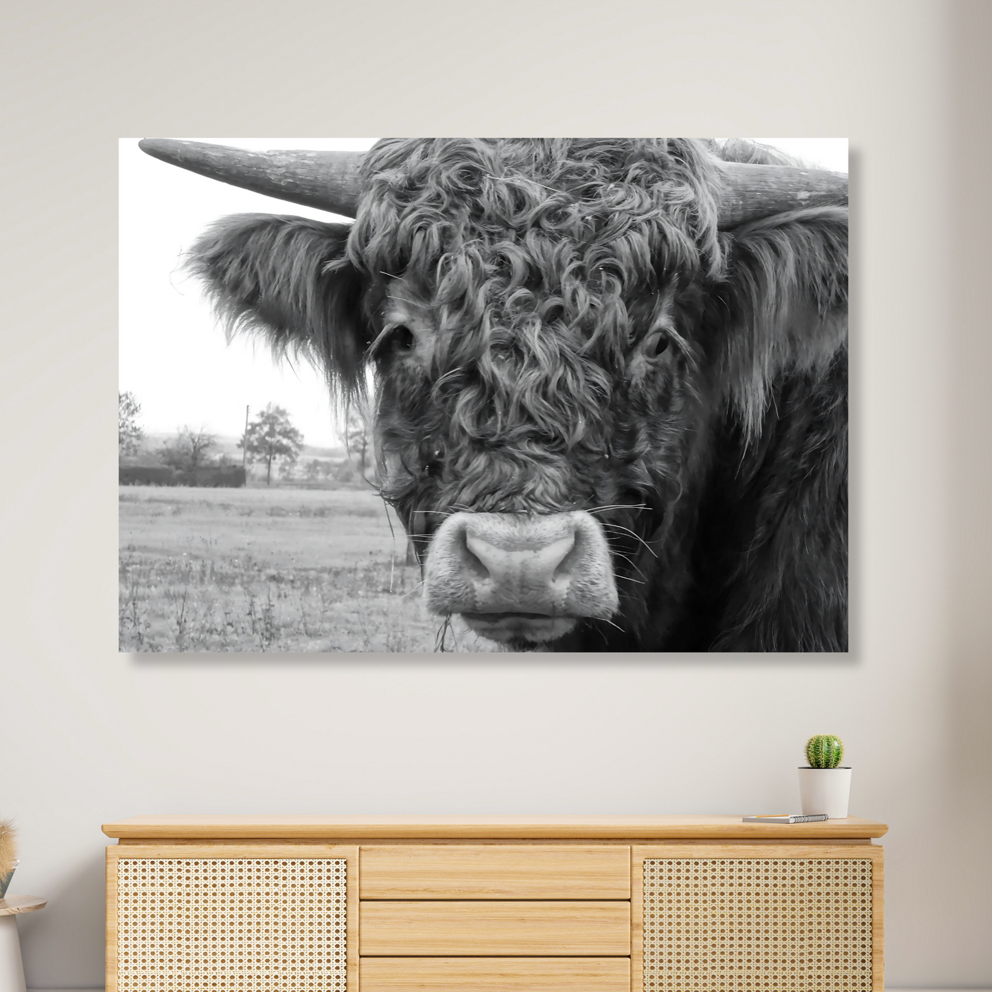 Highland Cow Magnificence