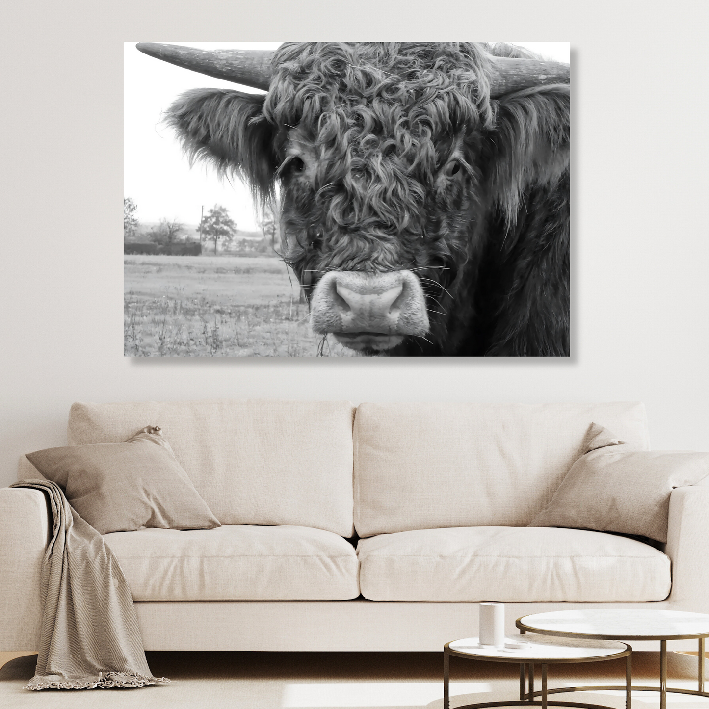 Highland Cow Magnificence