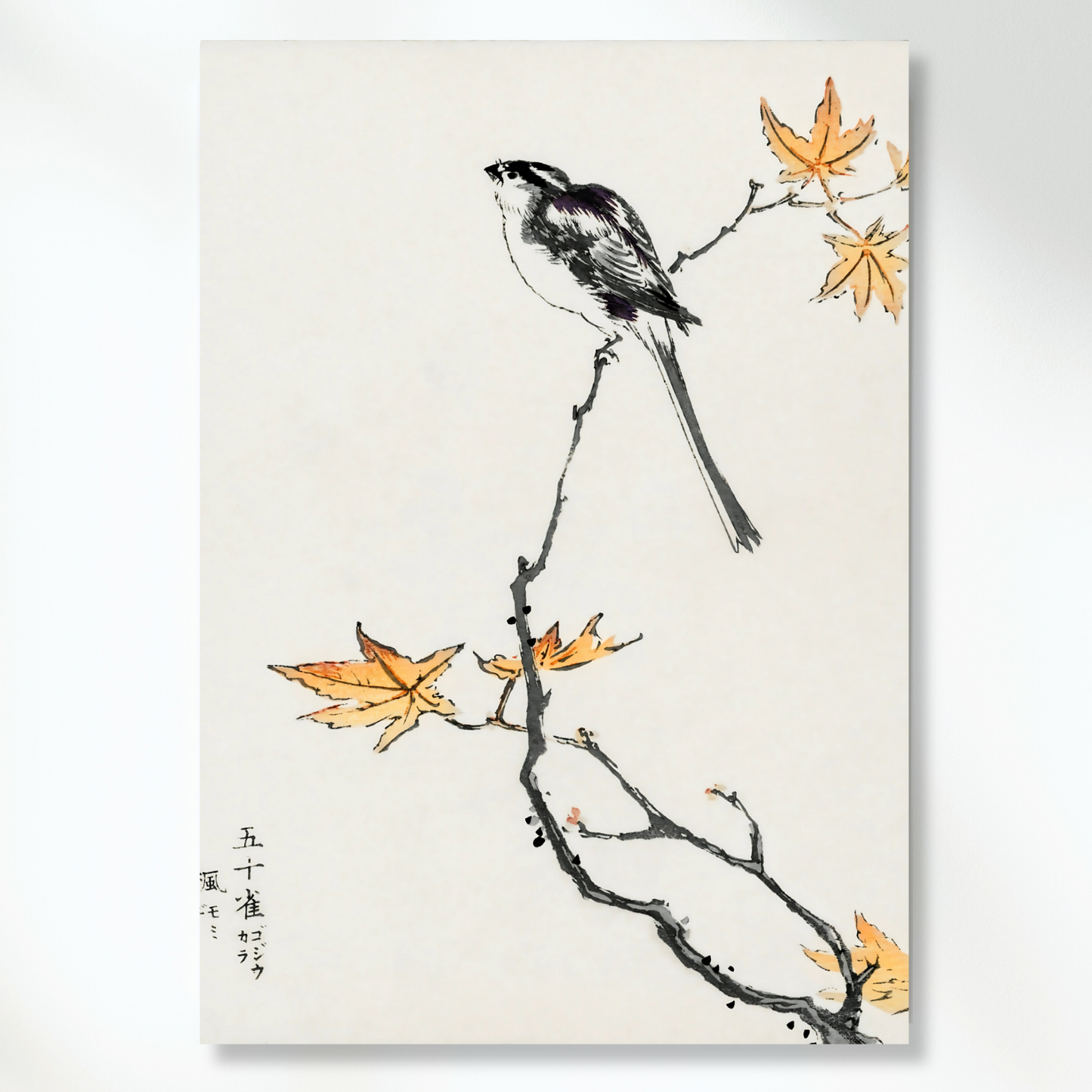 Japanese Bush Tit Bird Wall Art Canvas Print