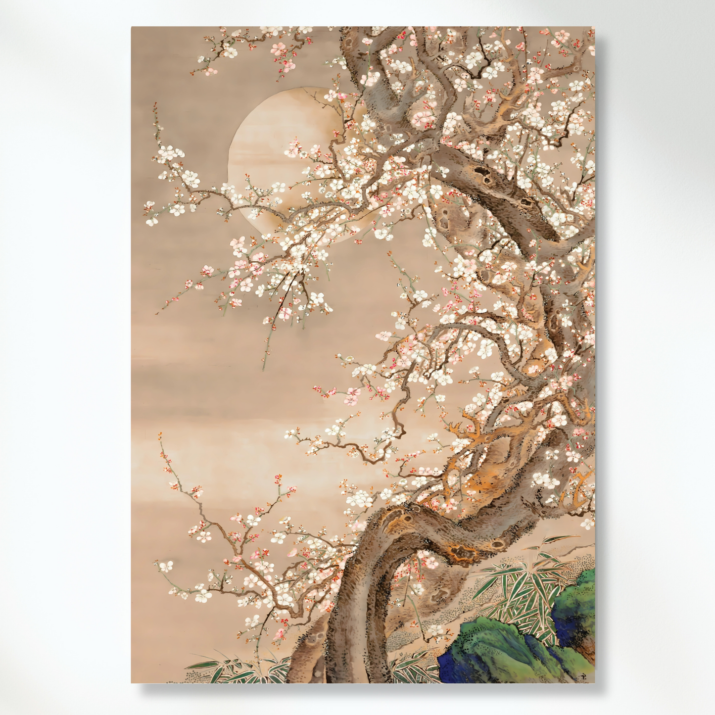 Japanese Plum Blossom Wall Art Canvas Print