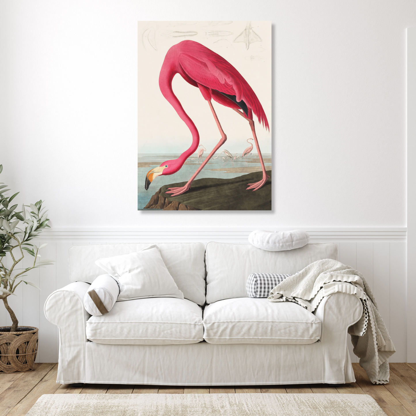 John James Audubon - Pink Flamingo from Birds of America Wall Art Canvas Print