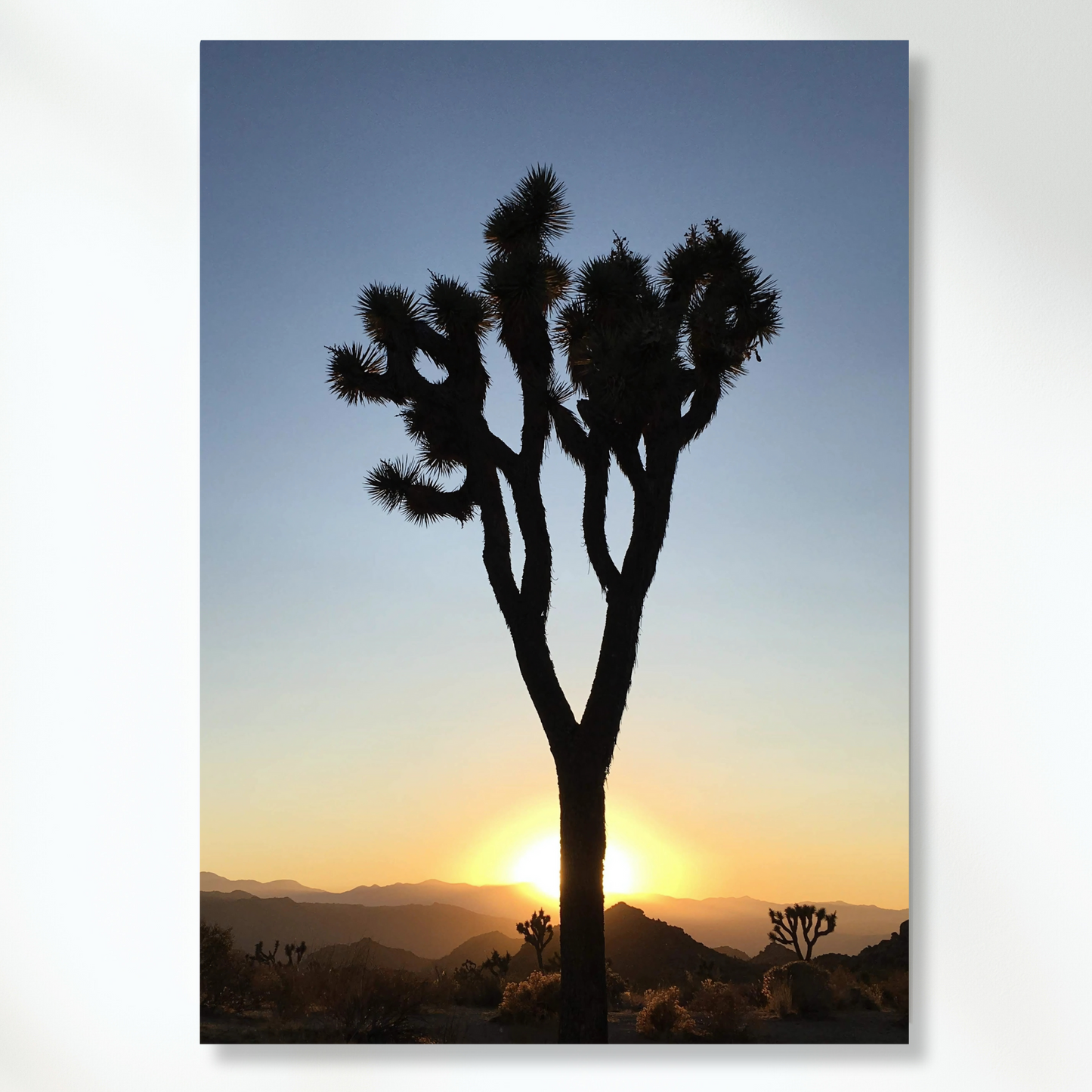 Joshua Tree Dusk Wall Art Canvas Print