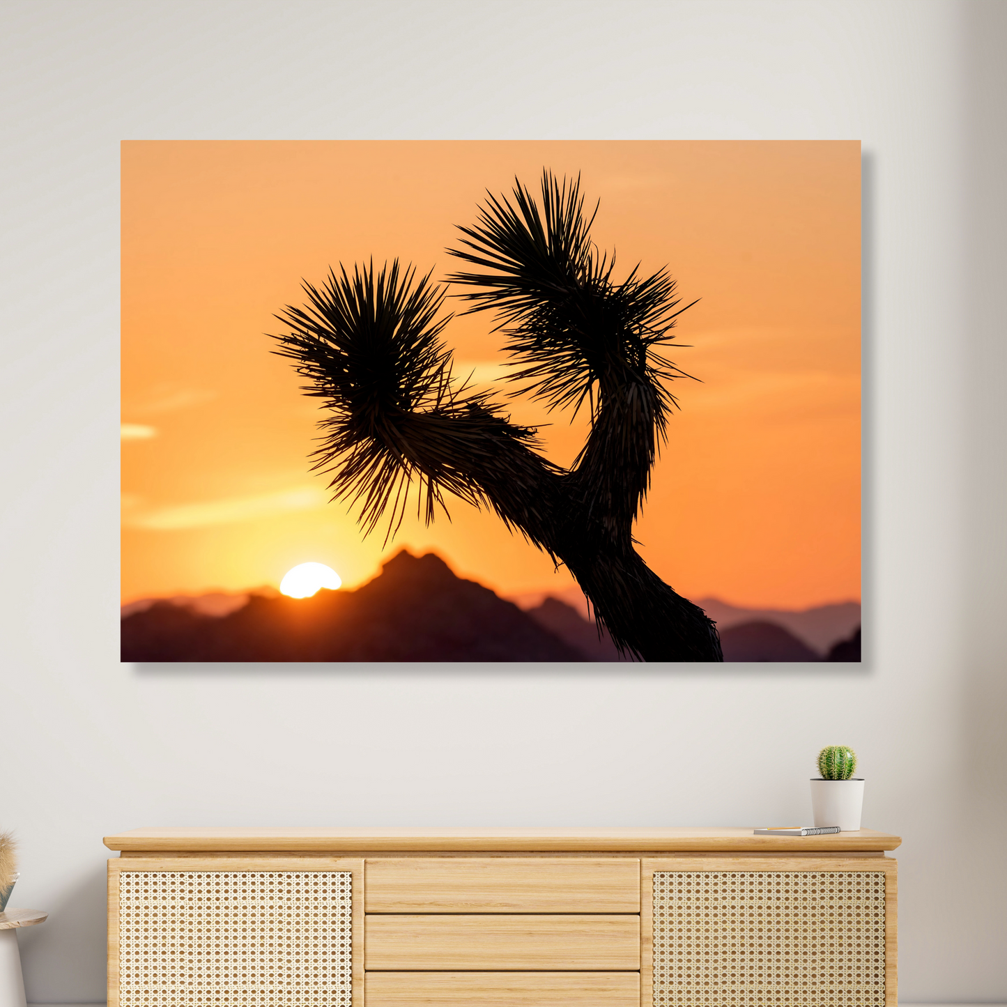 Joshua Tree Sunrise