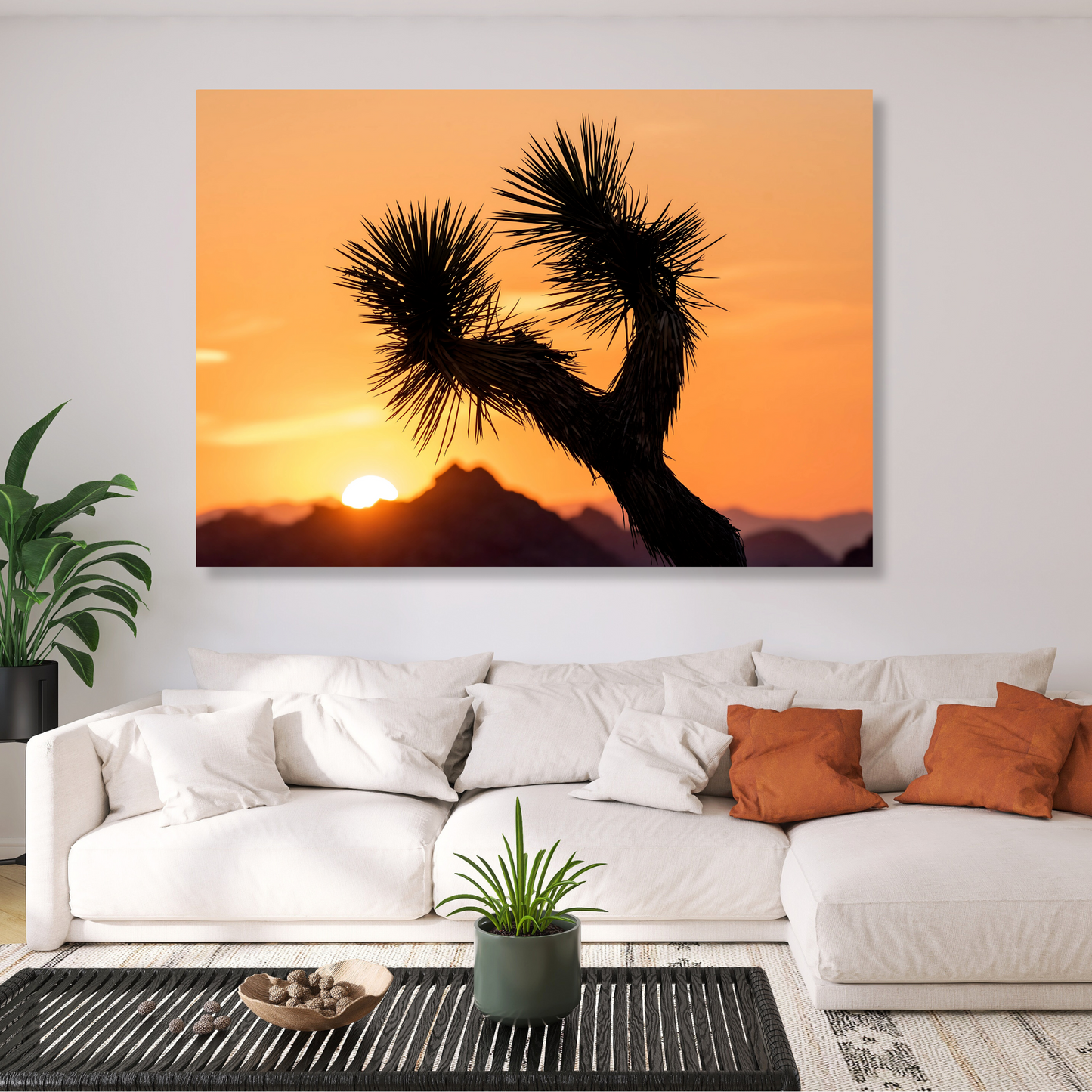 Joshua Tree Sunrise