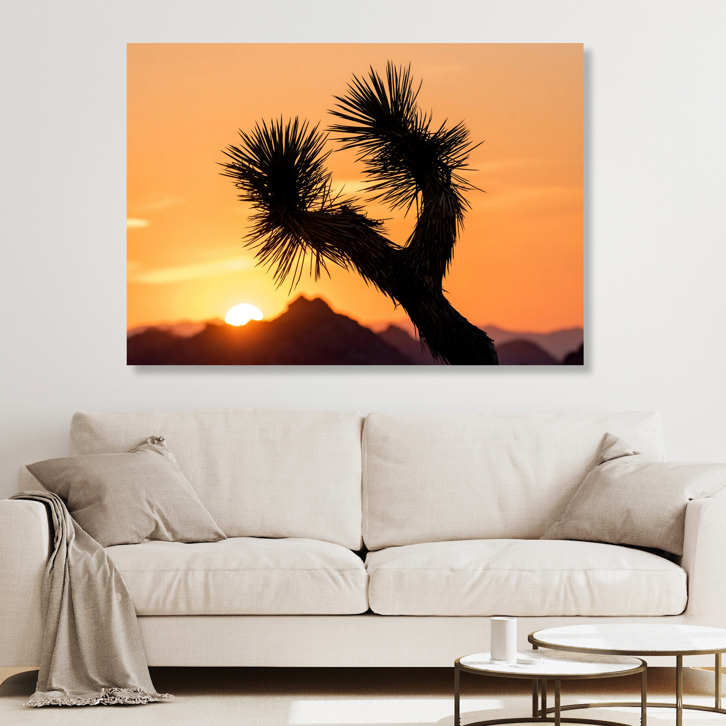 Joshua Tree Sunrise