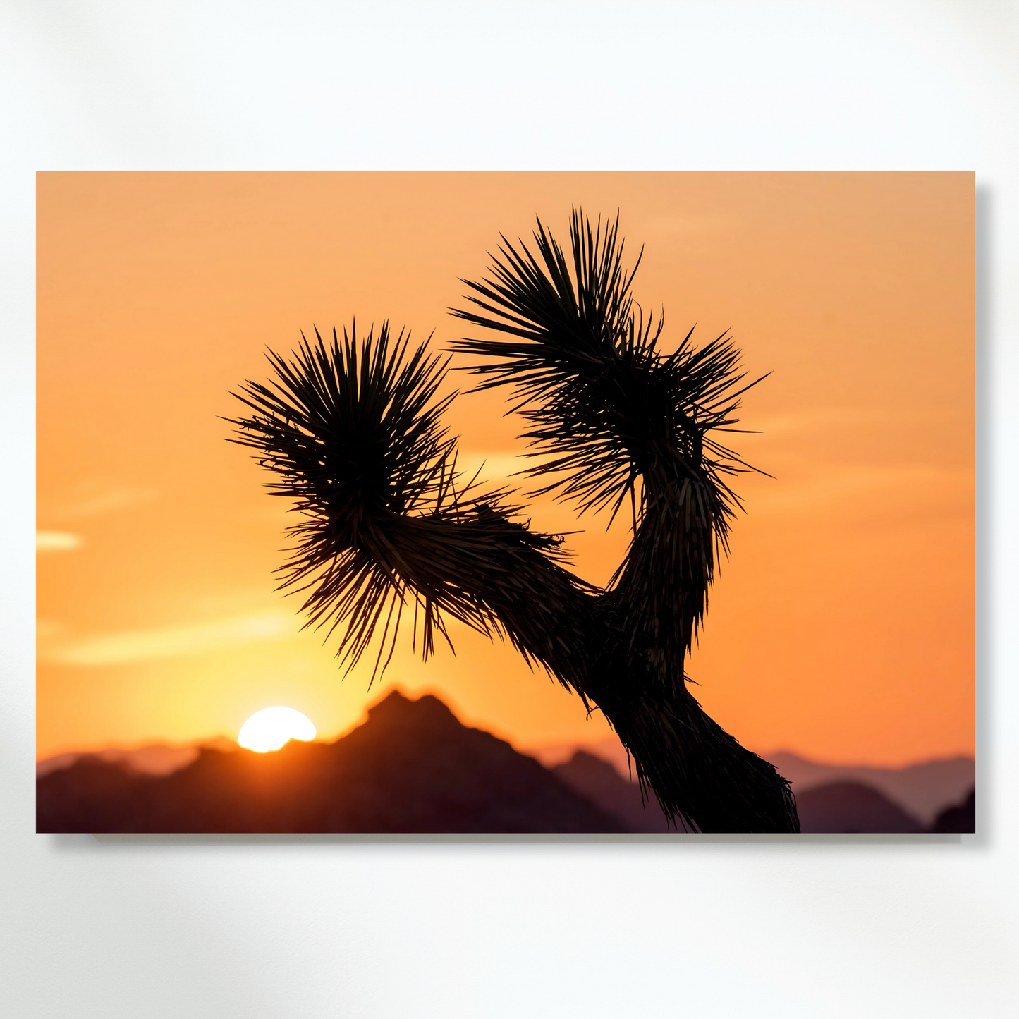 Joshua Tree Sunrise Wall Art Canvas Print