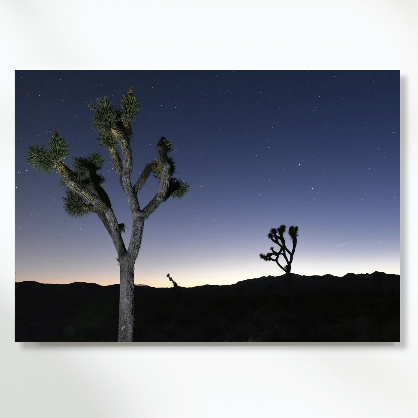Joshua Tree Twilight Wall Art Canvas Print