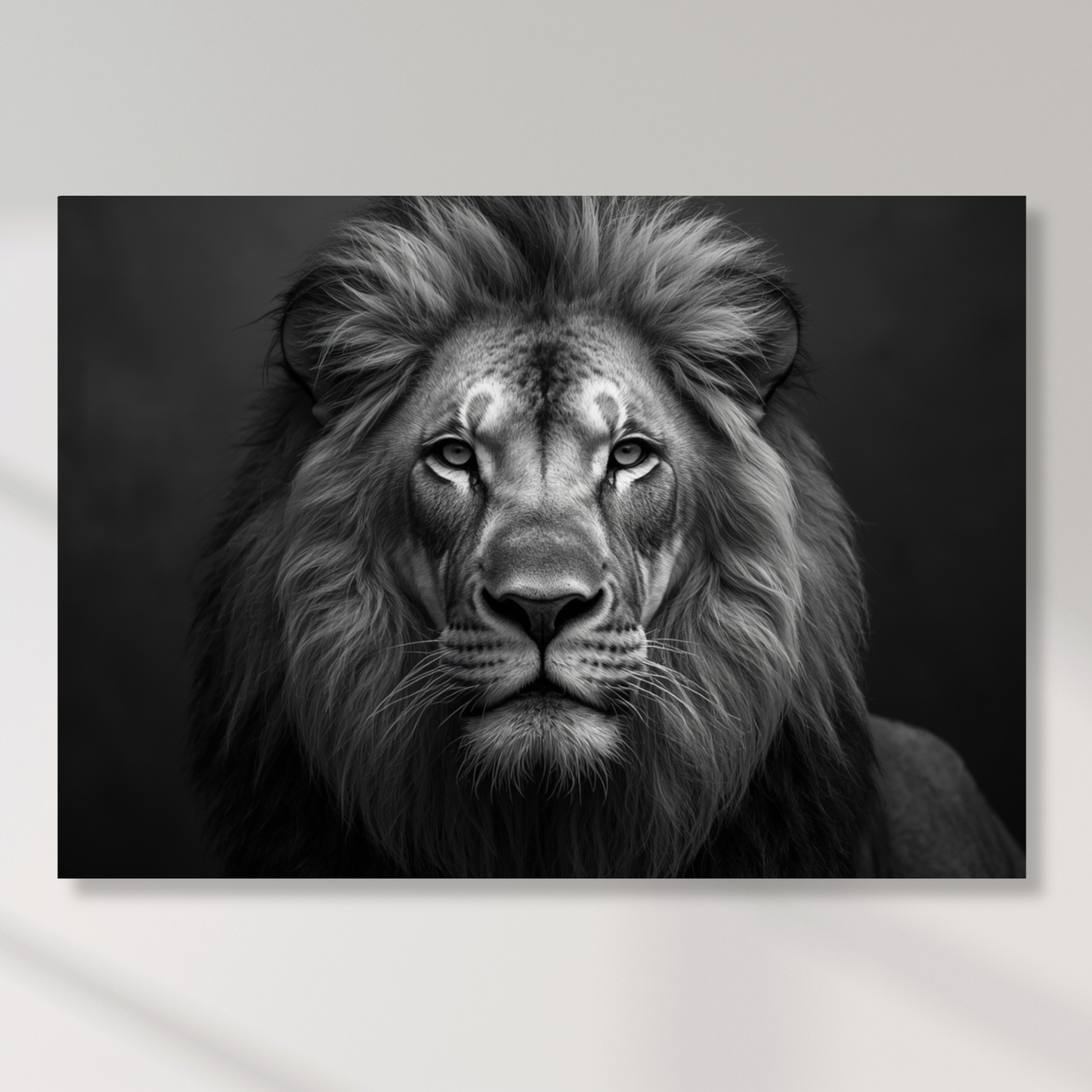 Black & White Lion Wall Art Canvas Print