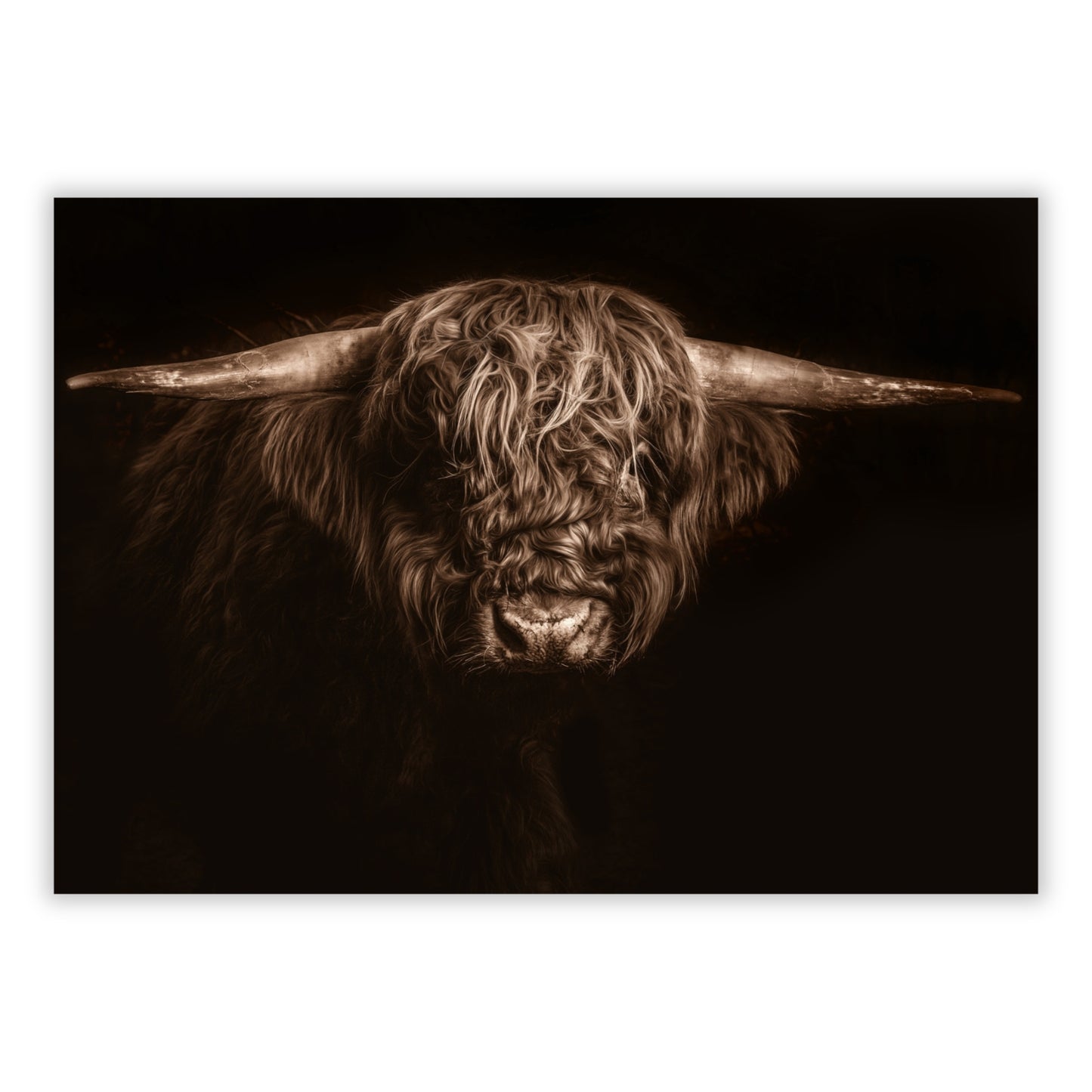 Highland Mystic Animal Kingdom Wall Art Canvas Print