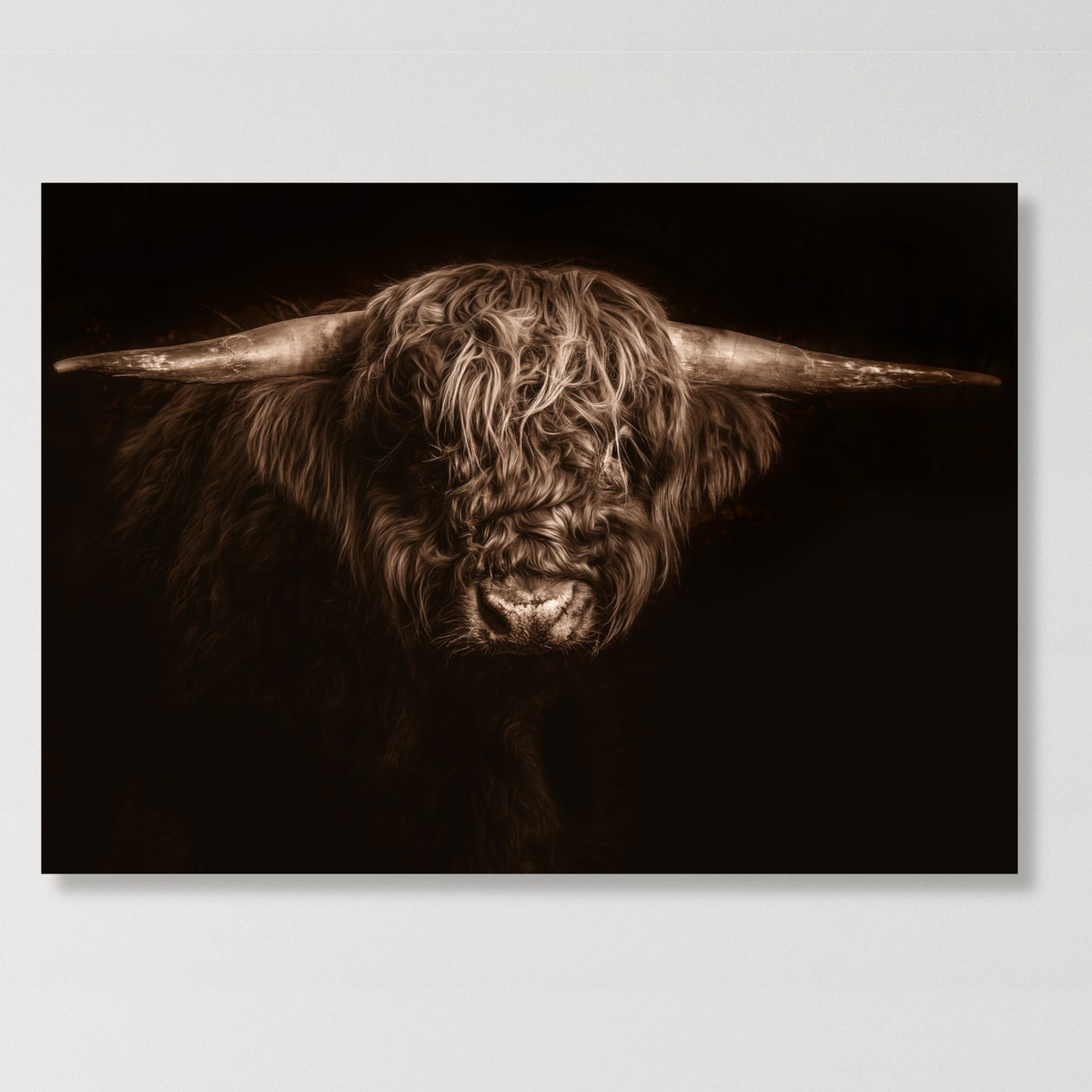 Highland Mystic Animal Kingdom Wall Art Canvas Print