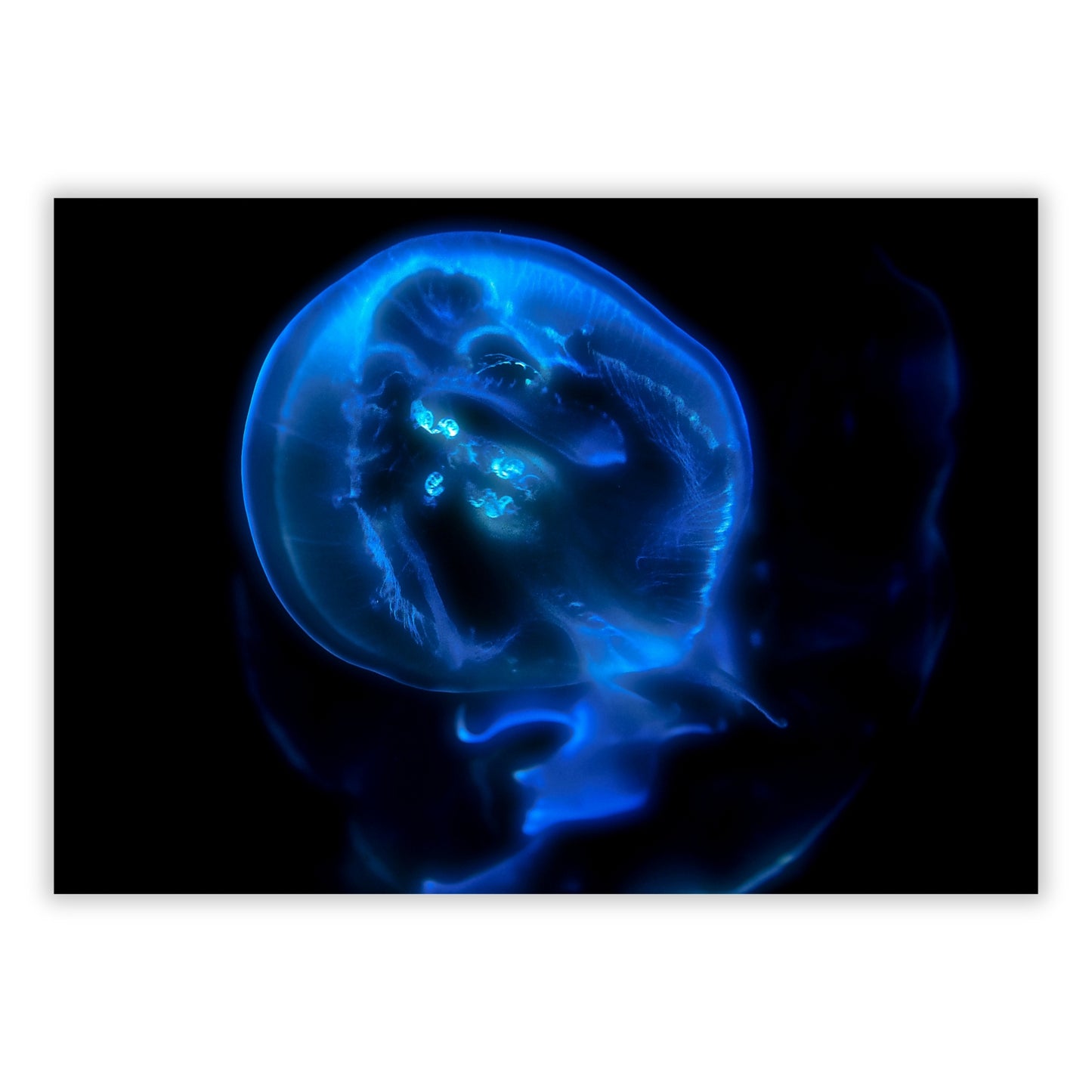Bioluminescent Wall Art Canvas Print