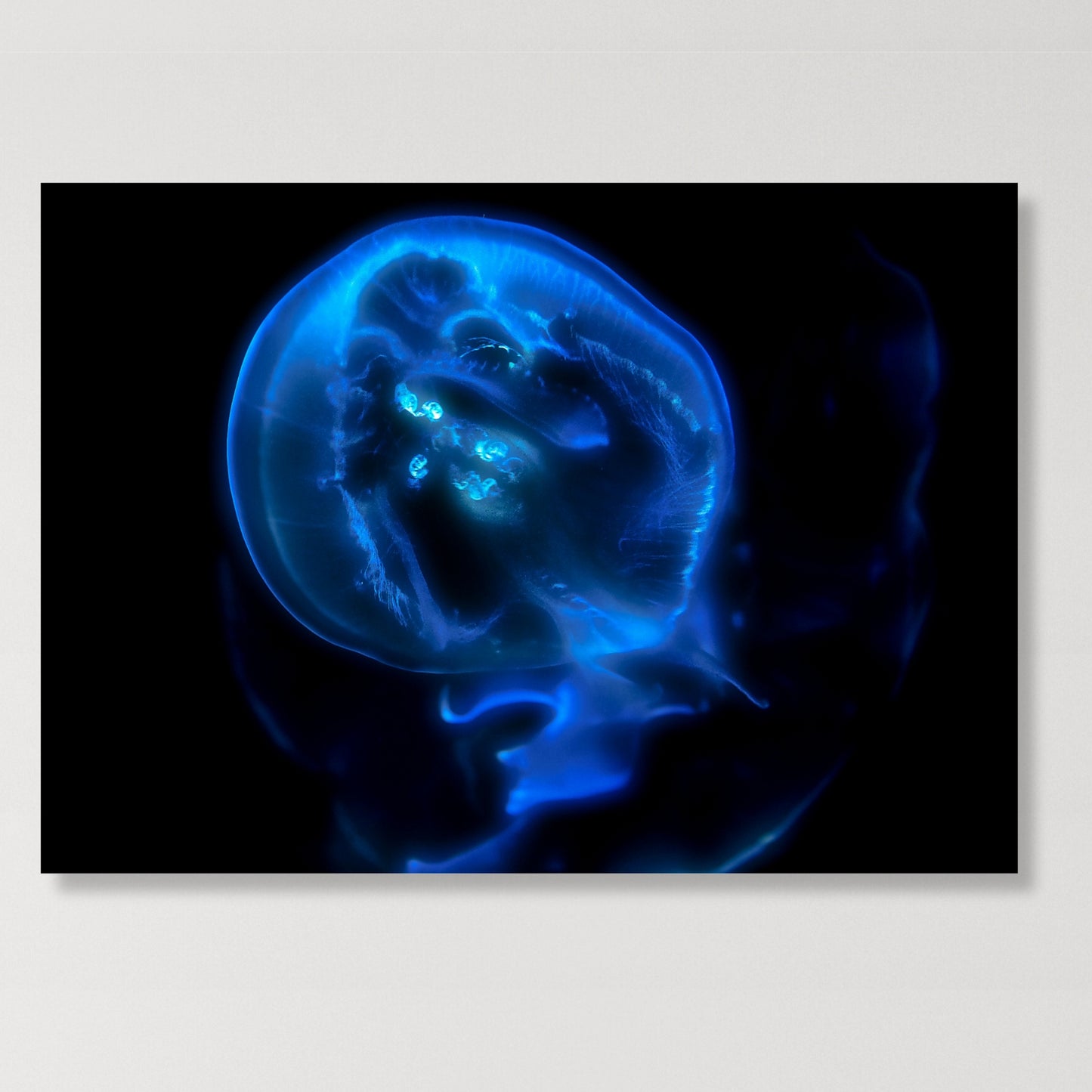 Bioluminescent Wall Art Canvas Print