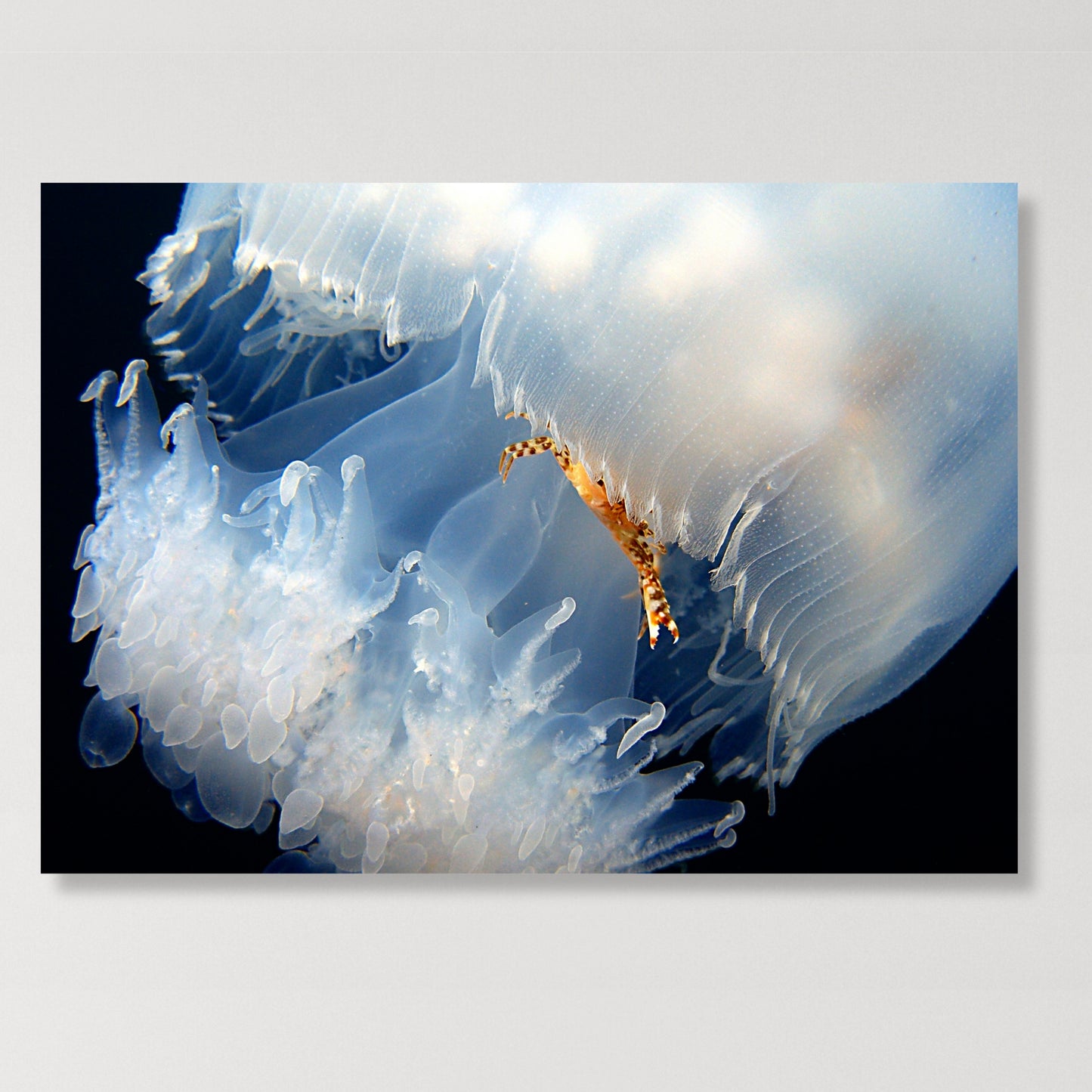 Breathtaking Wall Art Canvas Print