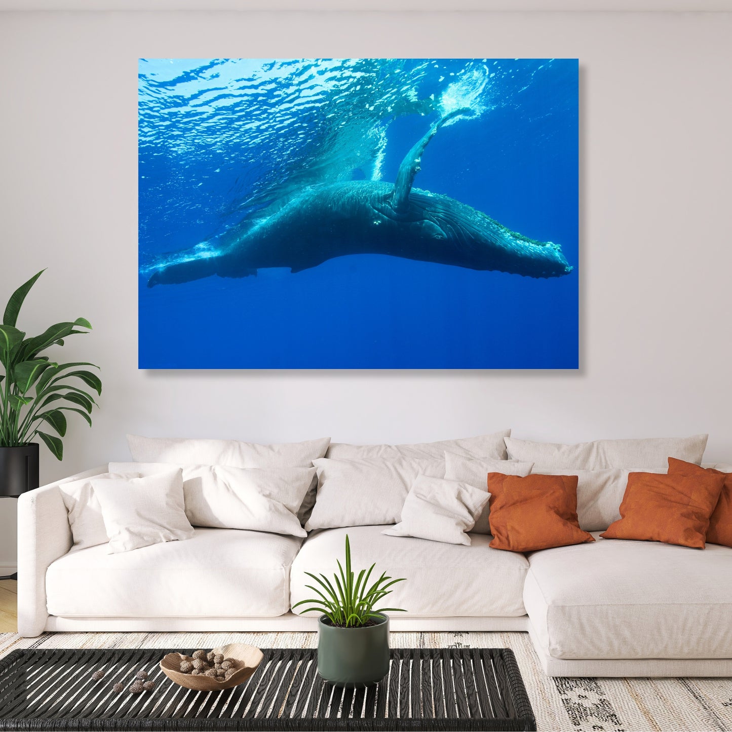 Humpback Whale Wall Art Canvas Print